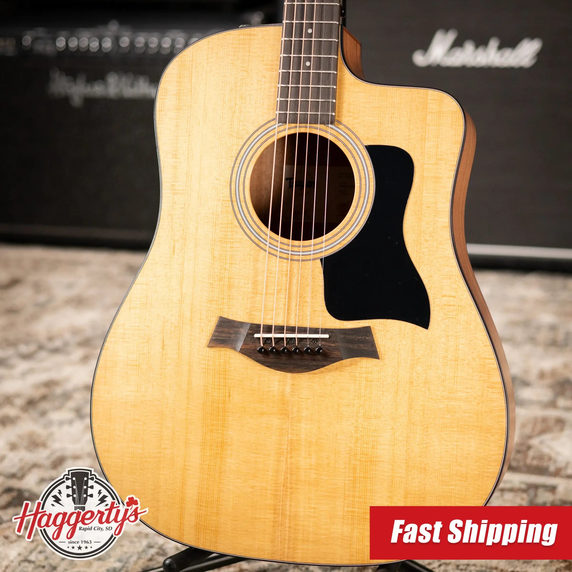 Taylor 110ce Dreadnought Acoustic/Electric Guitar - Solid Torrefield Spruce with Gig Bag - Factory Demo