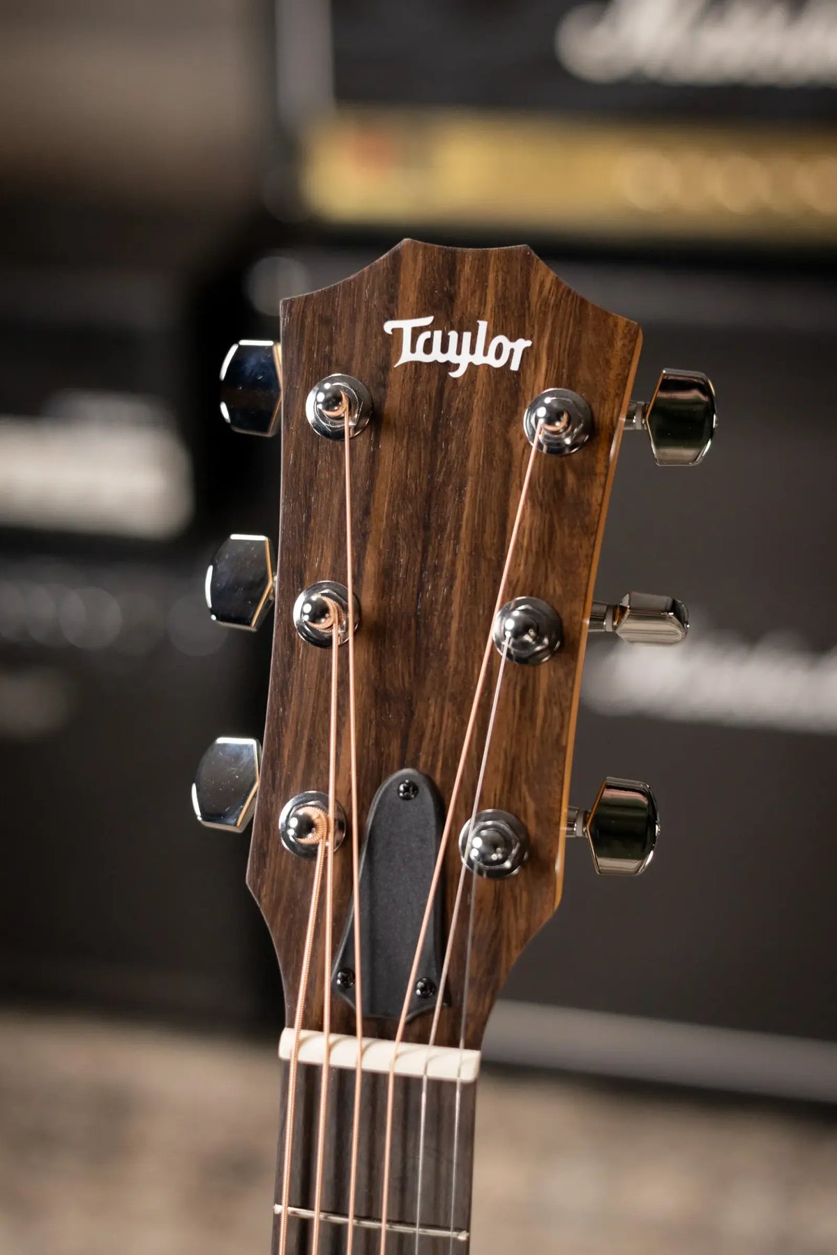 Taylor 110ce Dreadnought Acoustic/Electric Guitar - Solid Torrefield Spruce with Gig Bag - Factory Demo