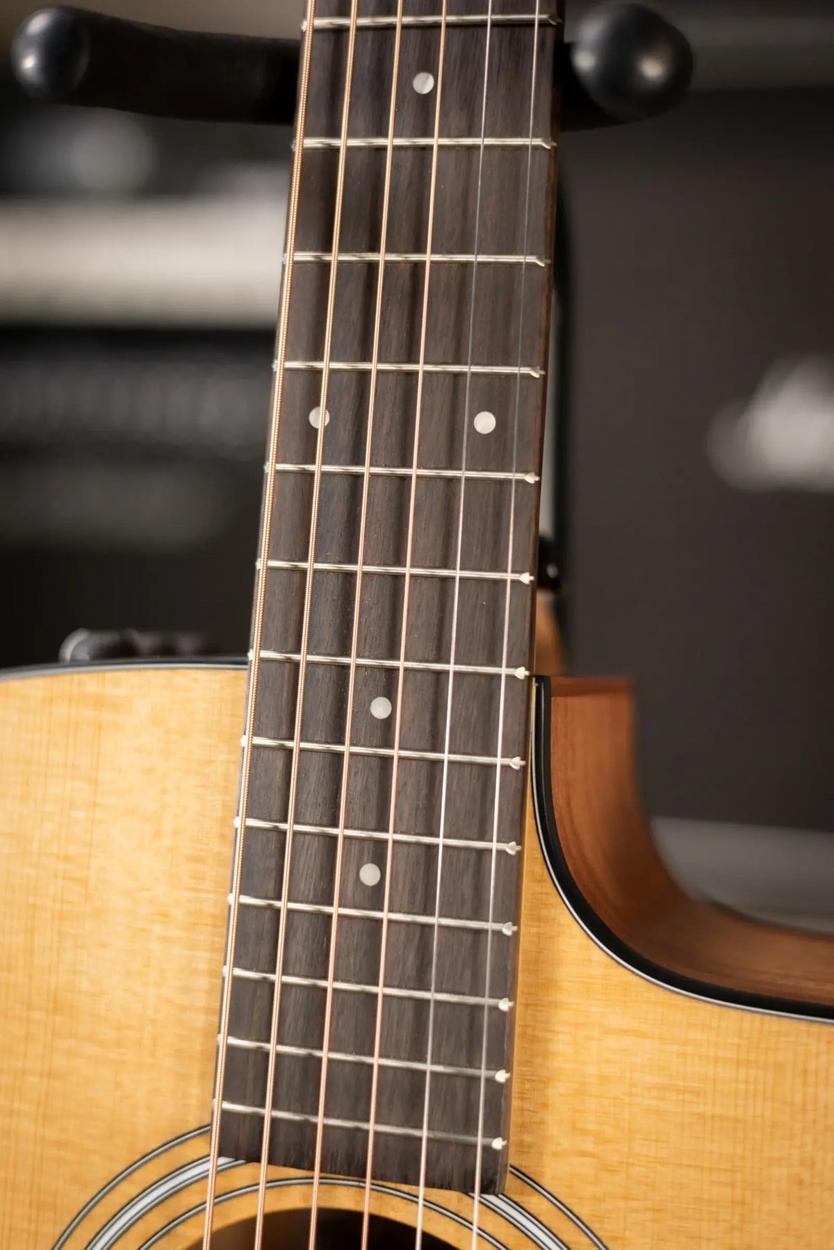Taylor 110ce Dreadnought Acoustic/Electric Guitar - Solid Torrefield Spruce with Gig Bag - Factory Demo