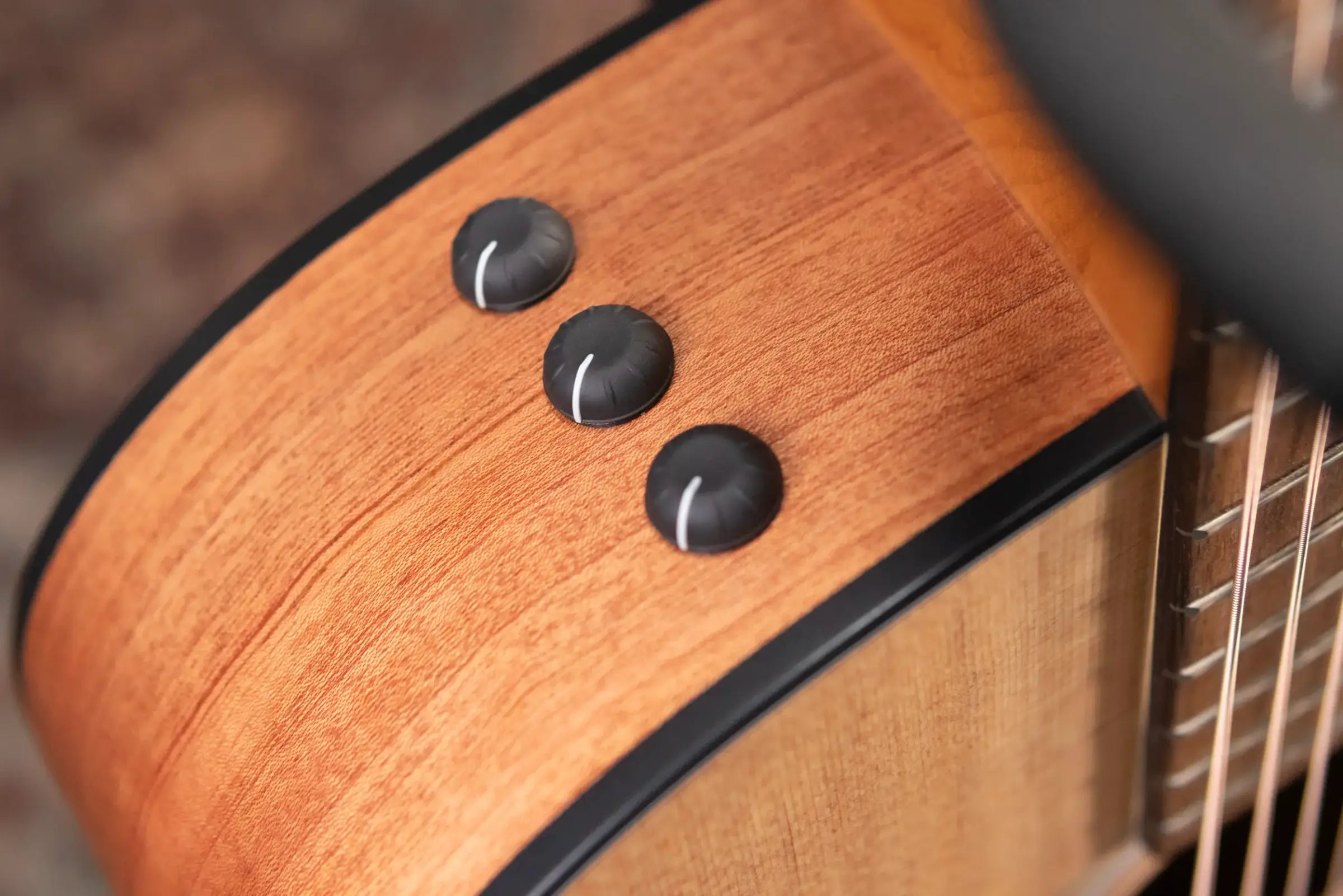 Taylor 110ce Dreadnought Acoustic/Electric Guitar with Gig Bag