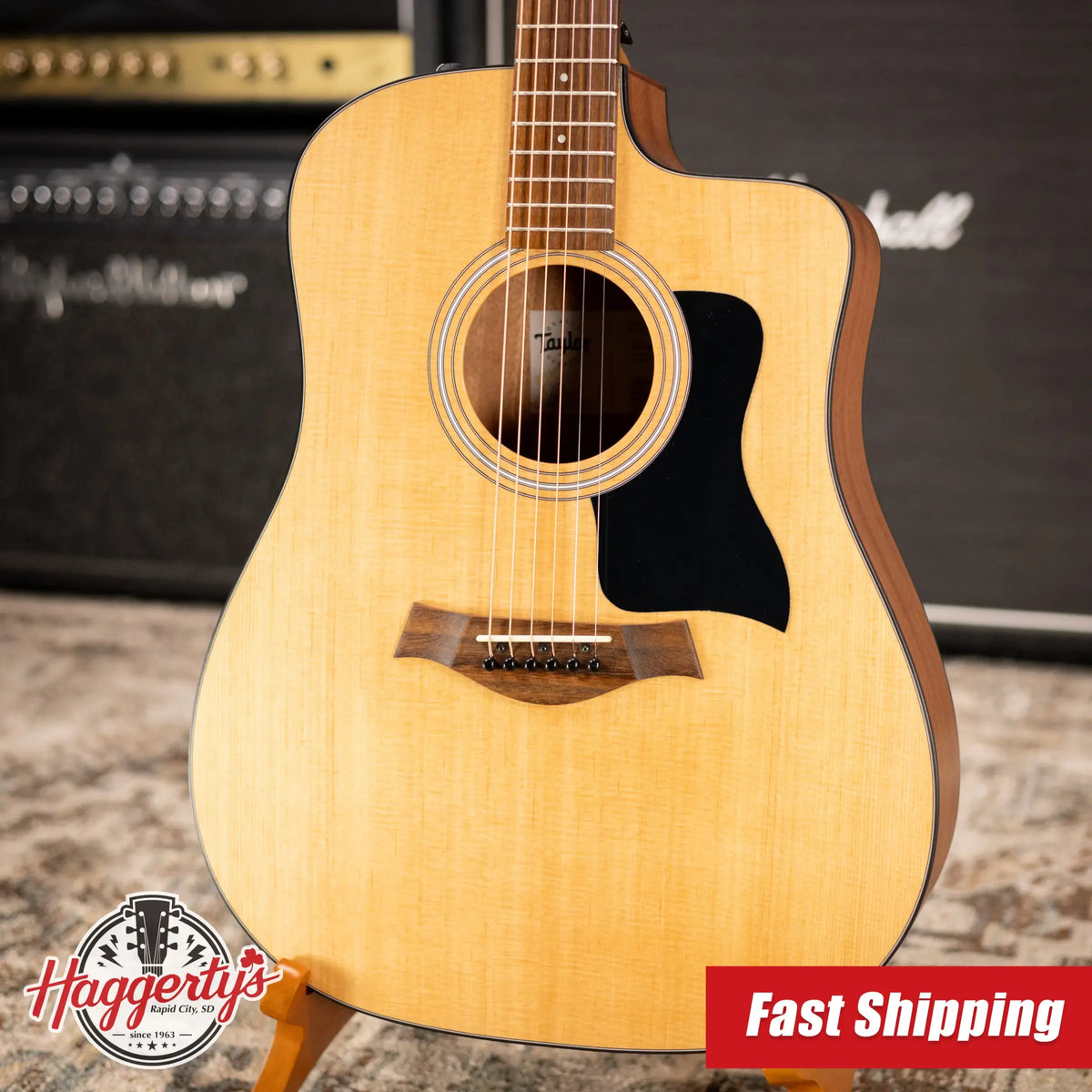 Taylor 110ce Dreadnought Acoustic/Electric Guitar with Gig Bag