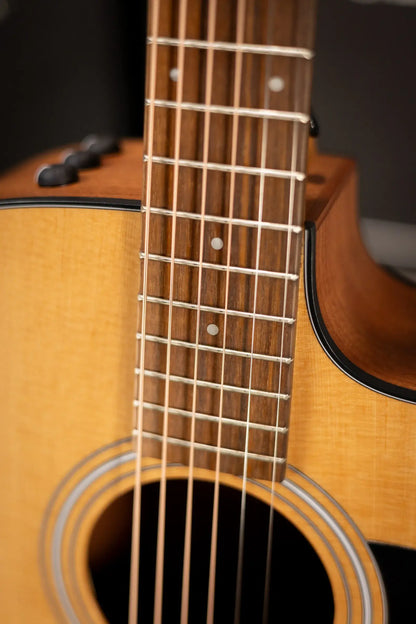 Taylor 110ce Dreadnought Acoustic/Electric Guitar with Gig Bag