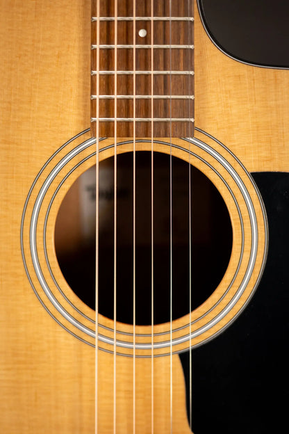 Taylor 110ce Dreadnought Acoustic/Electric Guitar with Gig Bag