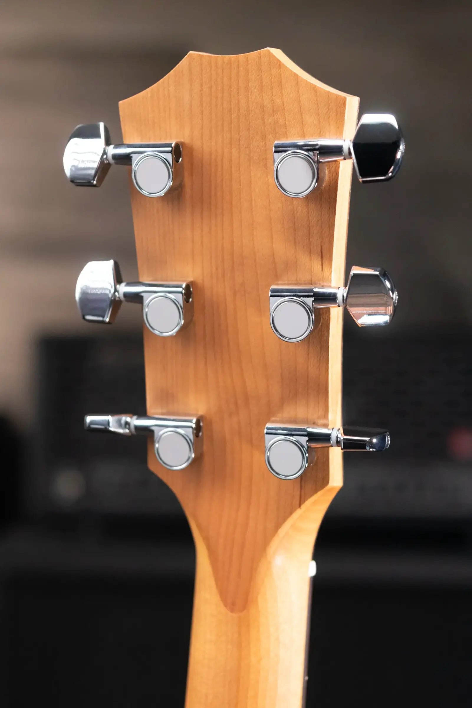 Taylor 110ce Dreadnought Acoustic-Electric Guitar with Structured Gig Bag