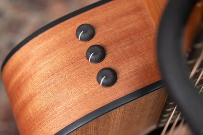 Taylor 110ce Dreadnought Acoustic-Electric Guitar with Structured Gig Bag