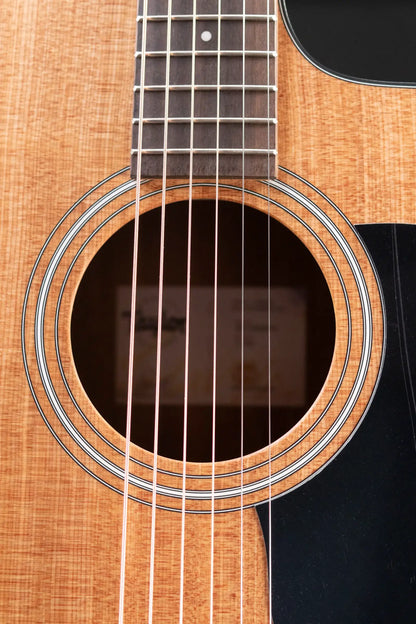 Taylor 110ce Dreadnought Acoustic-Electric Guitar with Structured Gig Bag