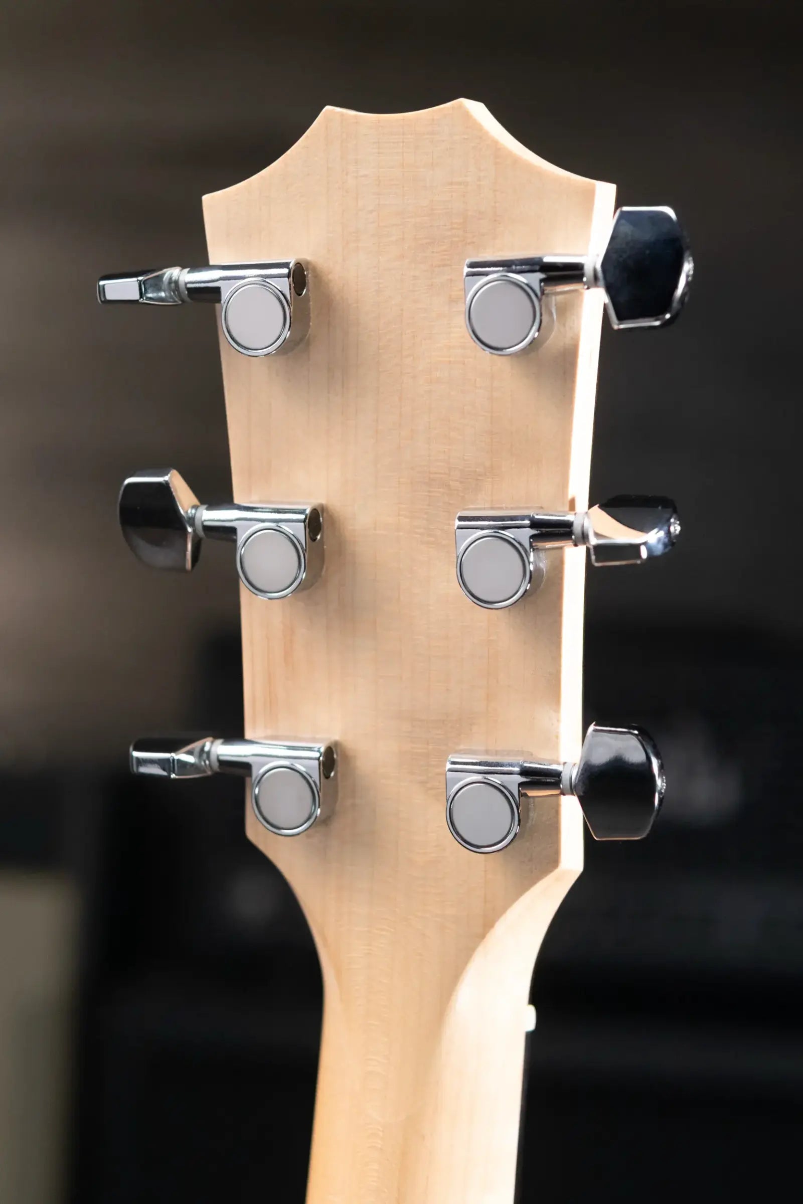 Taylor 110e Dreadnought Acoustic/Electric Guitar with Gig Bag - Used