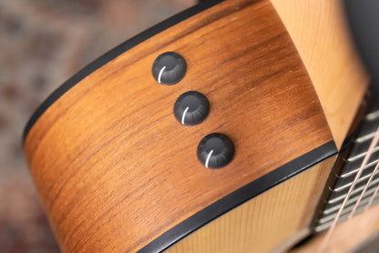 Taylor 110e Dreadnought Acoustic/Electric Guitar with Gig Bag - Used