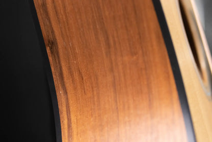 Taylor 110e Dreadnought Acoustic/Electric Guitar with Gig Bag - Used