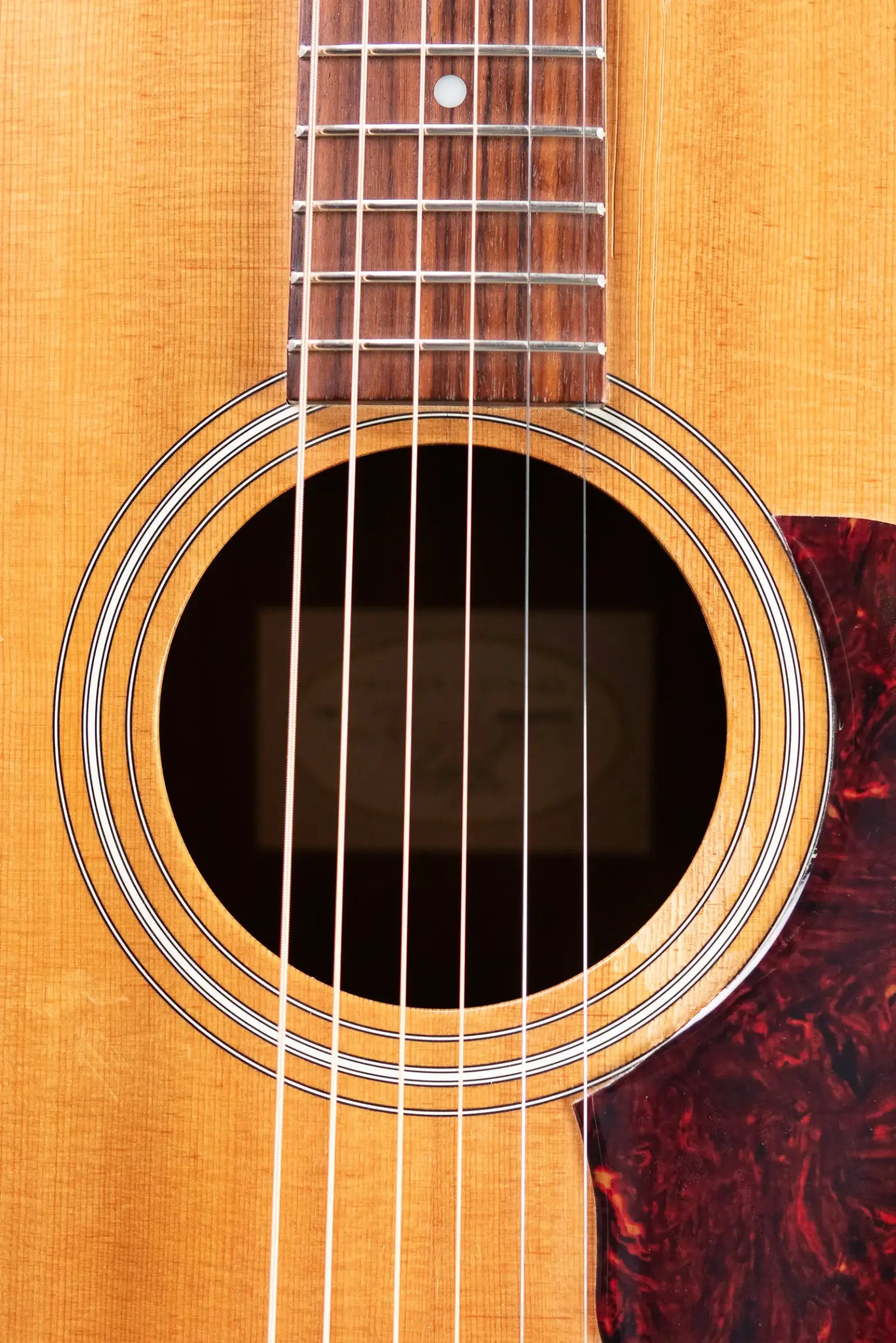 Taylor 110e Dreadnought Acoustic/Electric Guitar with Gig Bag - Used