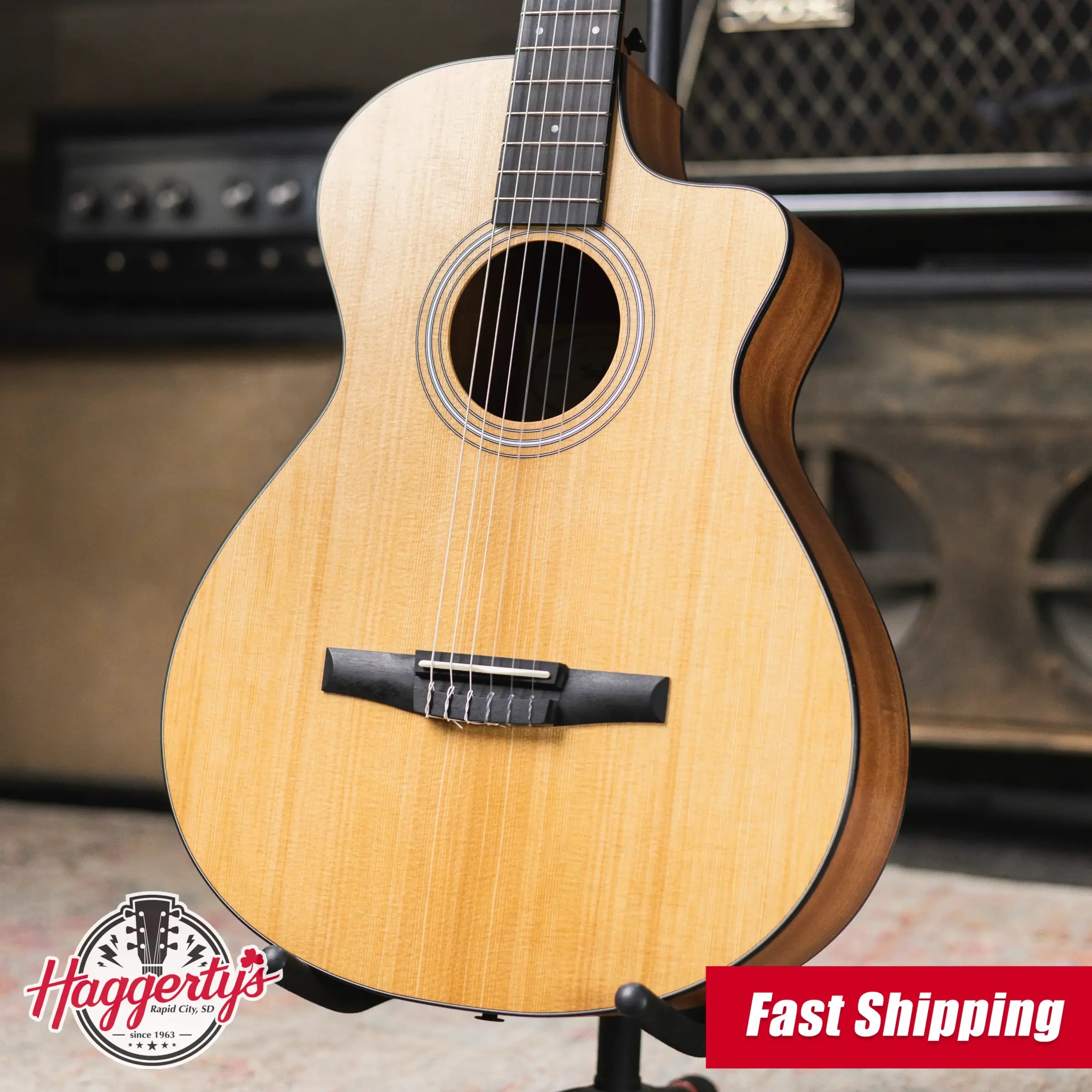 Taylor 112ce-N Nylon Grand Concert Acoustic/Electric Guitar with Gig Bag