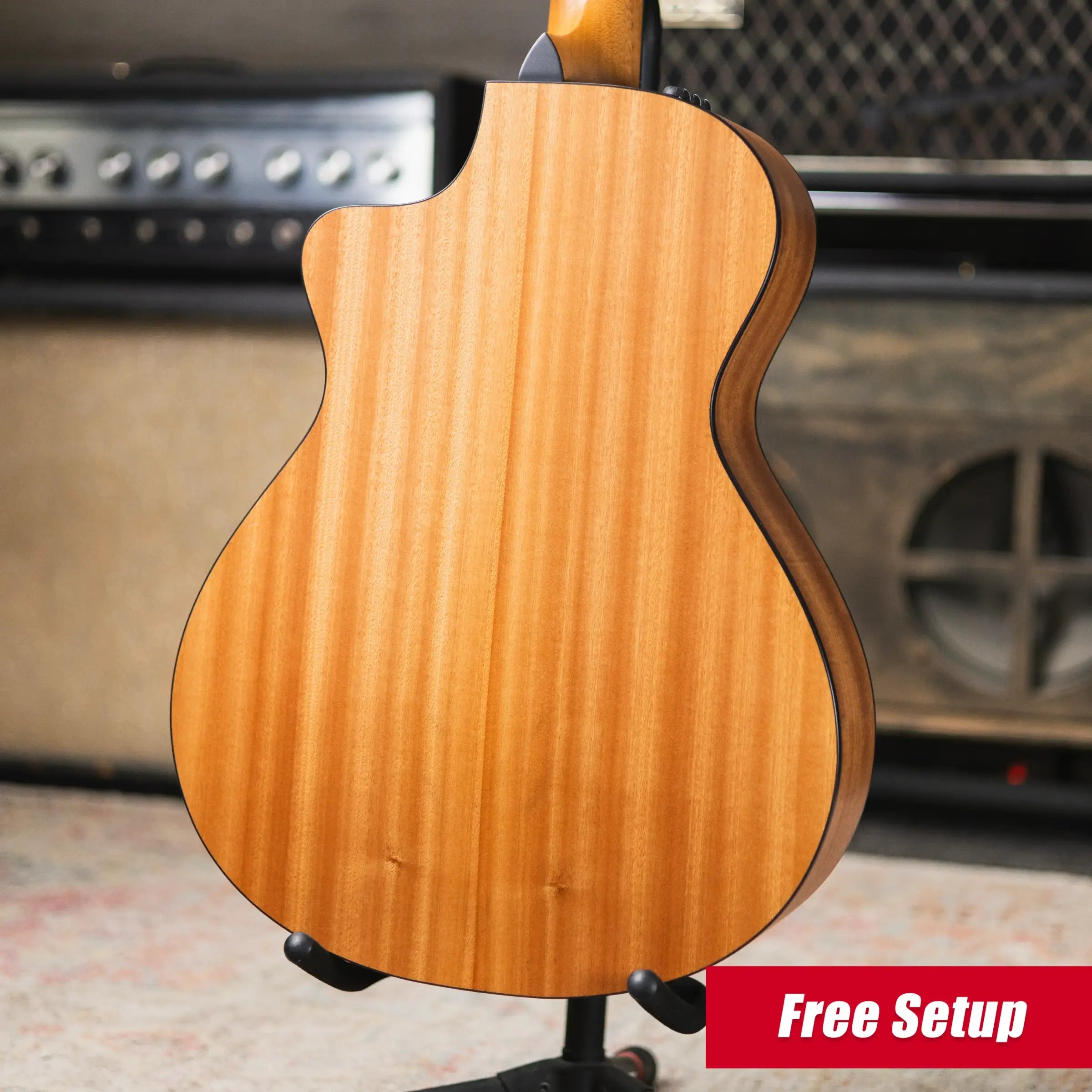 Taylor 112ce-N Nylon Grand Concert Acoustic/Electric Guitar with Gig Bag