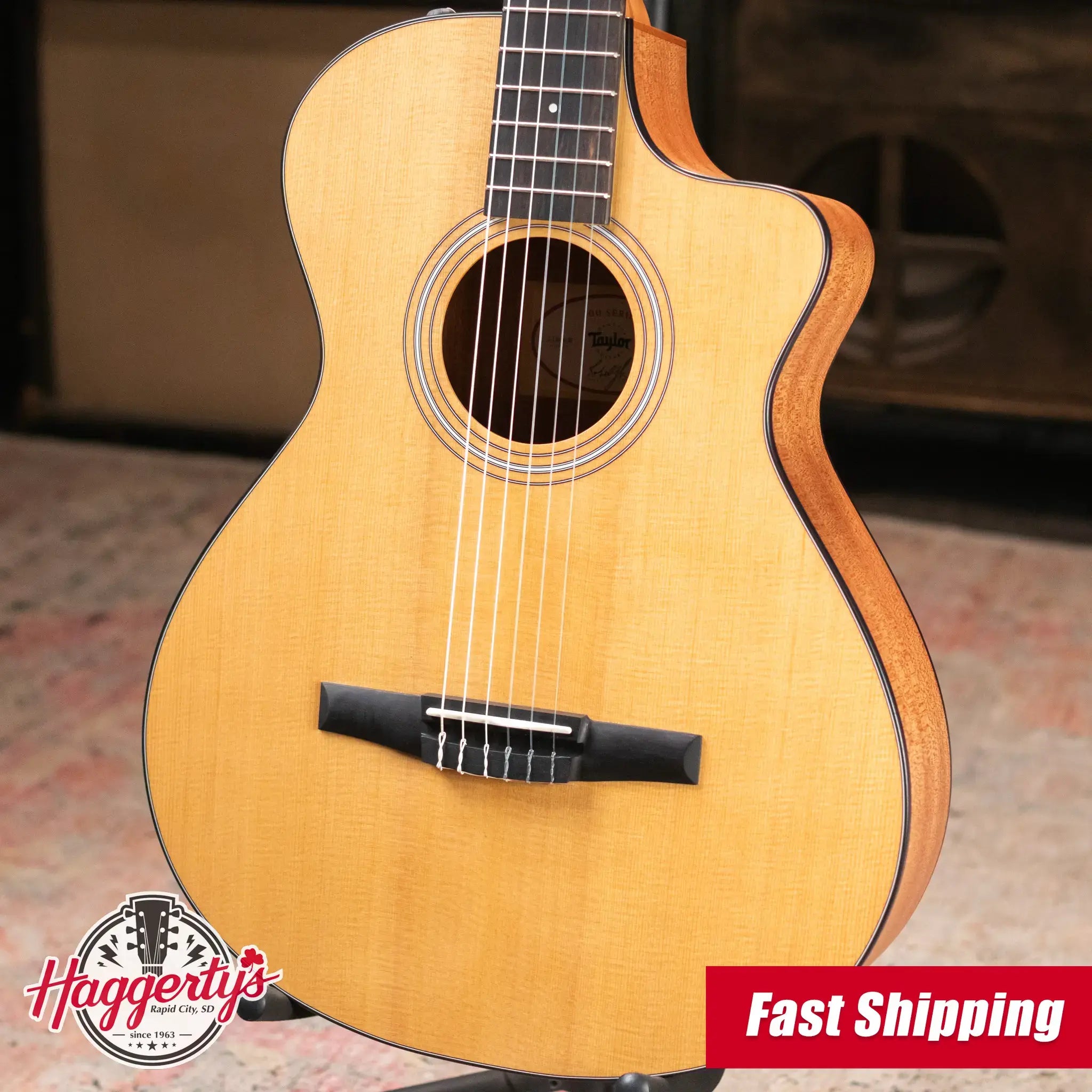 Taylor 112ce-N Nylon Grand Concert Acoustic/Electric Guitar with Gig Bag