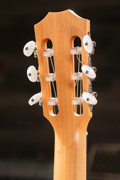 Taylor 112ce-N Nylon Grand Concert Acoustic/Electric Guitar with Gig Bag