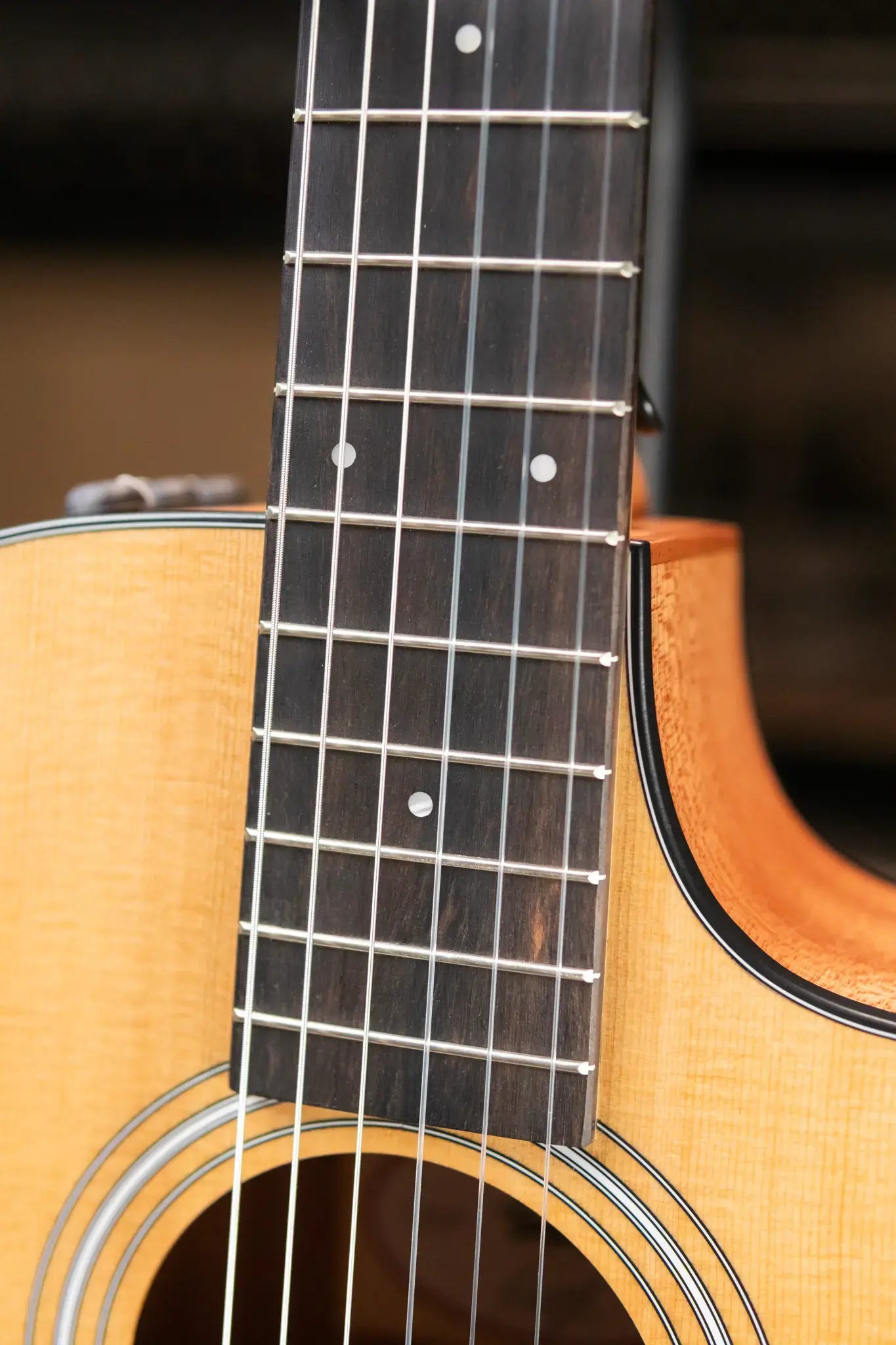 Taylor 112ce-N Nylon Grand Concert Acoustic/Electric Guitar with Gig Bag