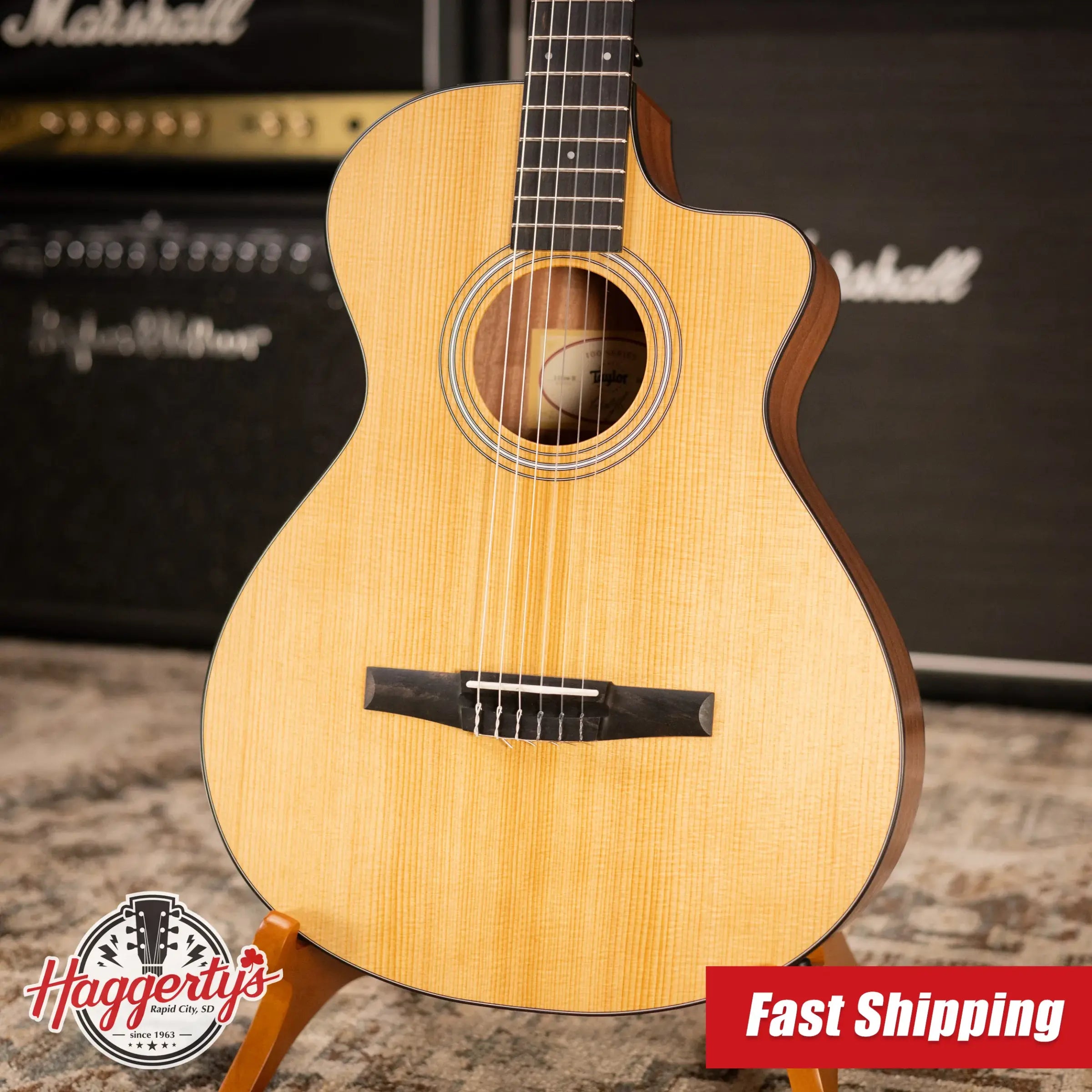 Taylor 112ce-N Nylon Grand Concert Acoustic/Electric Guitar with Gig Bag
