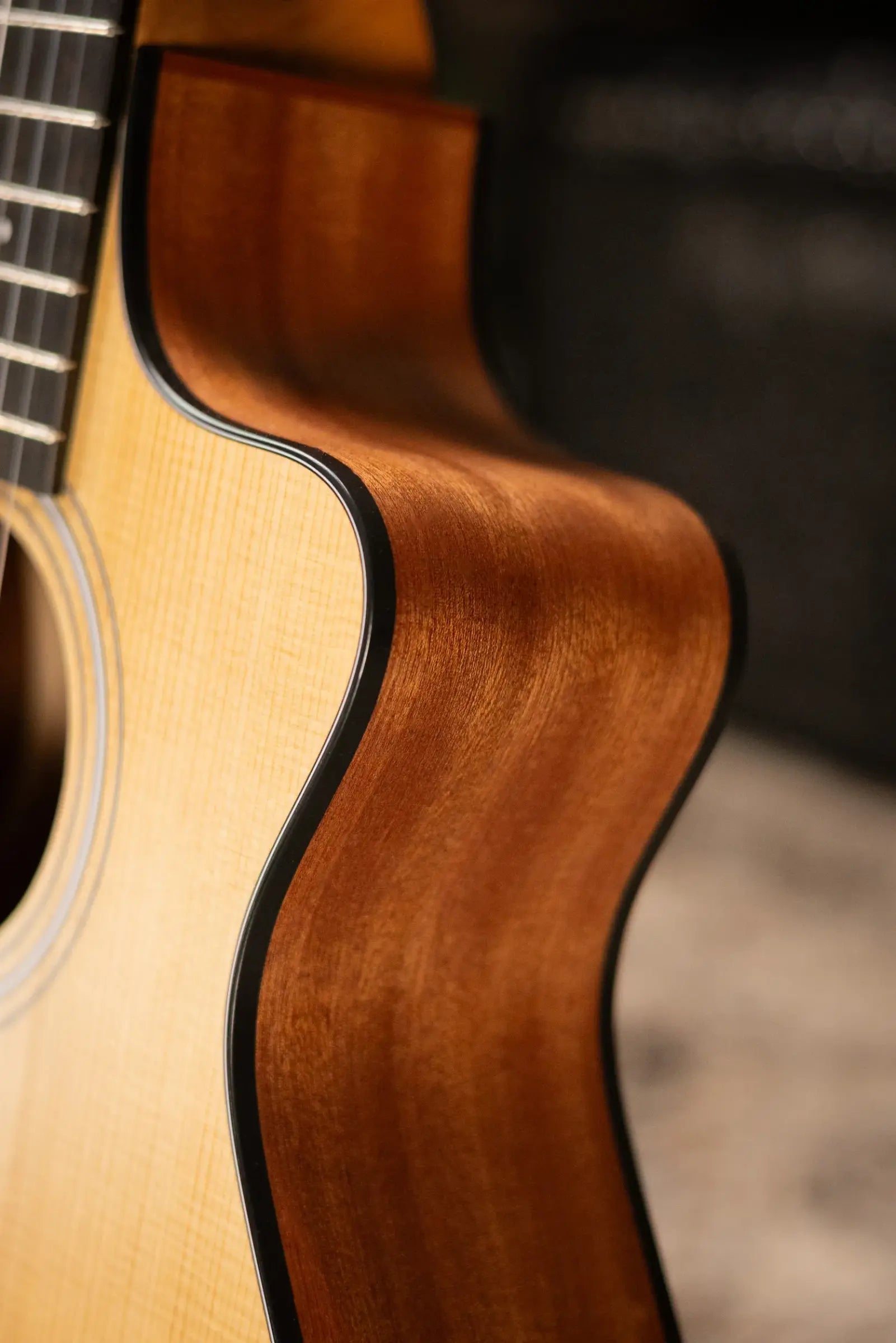 Taylor 112ce-N Nylon Grand Concert Acoustic/Electric Guitar with Gig Bag