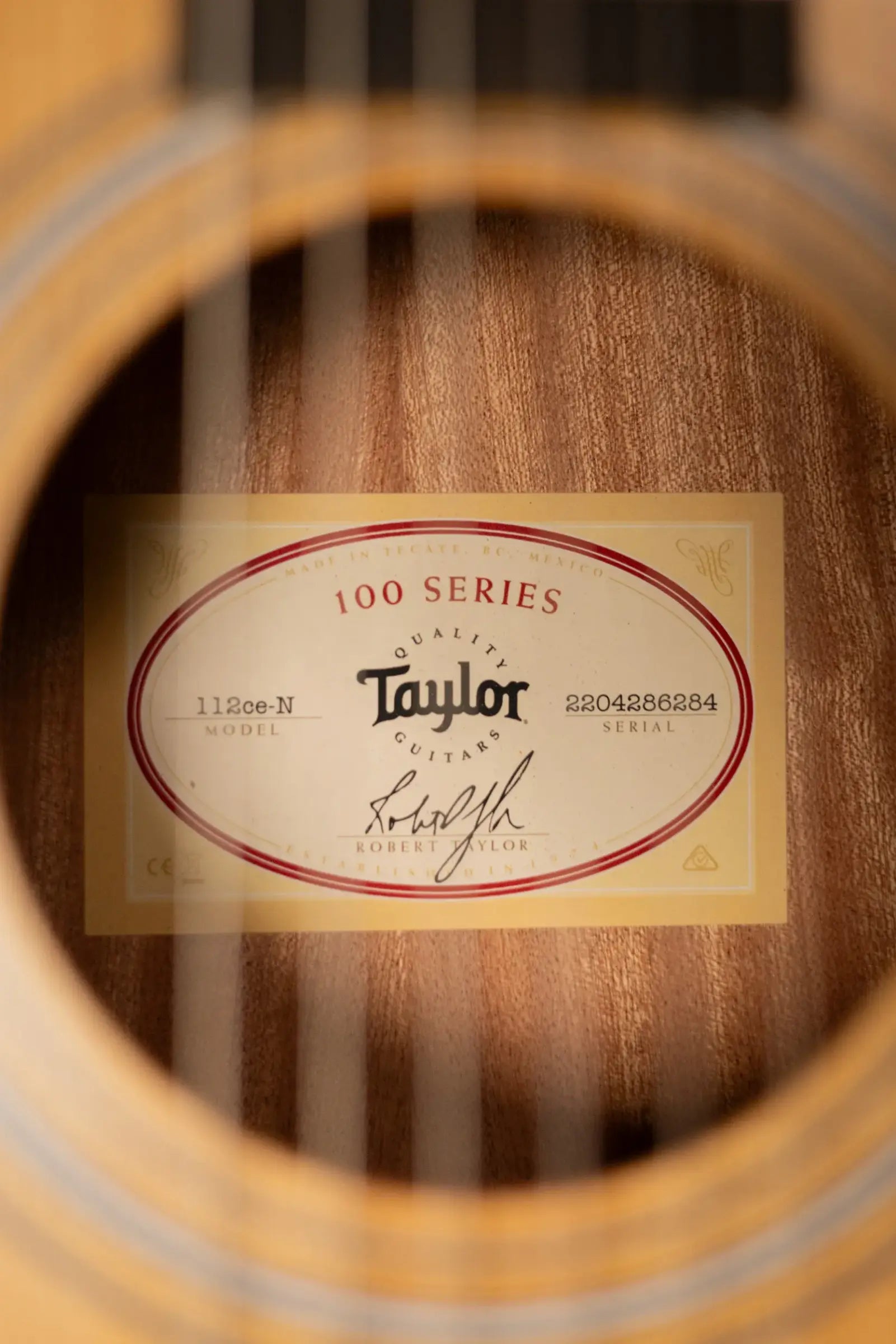 Taylor 112ce-N Nylon Grand Concert Acoustic/Electric Guitar with Gig Bag