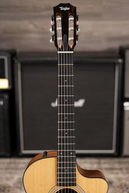 Taylor 112ce-N Nylon Grand Concert Acoustic/Electric Guitar with Gig Bag
