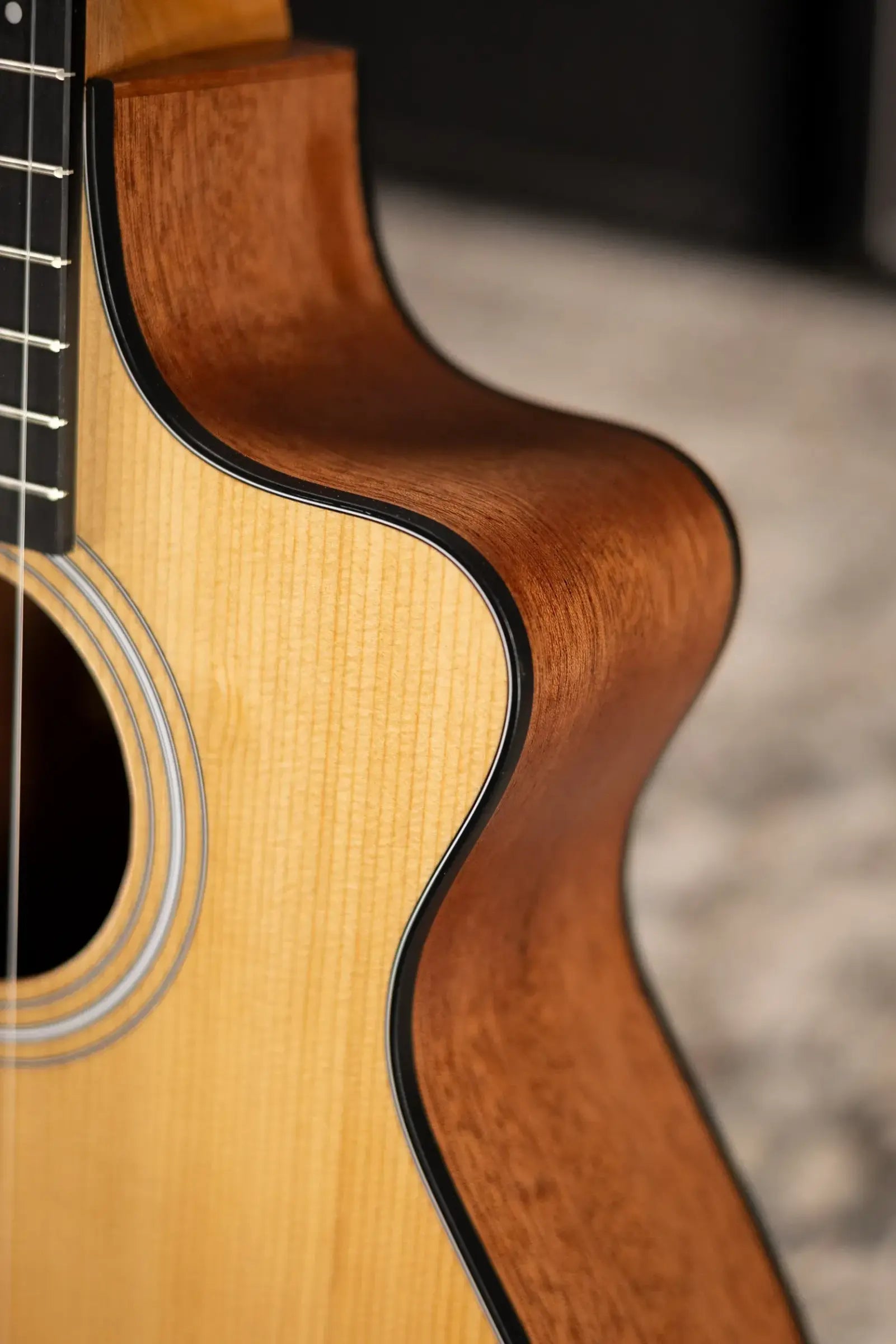 Taylor 112ce-N Nylon Grand Concert Acoustic/Electric Guitar with Gig Bag