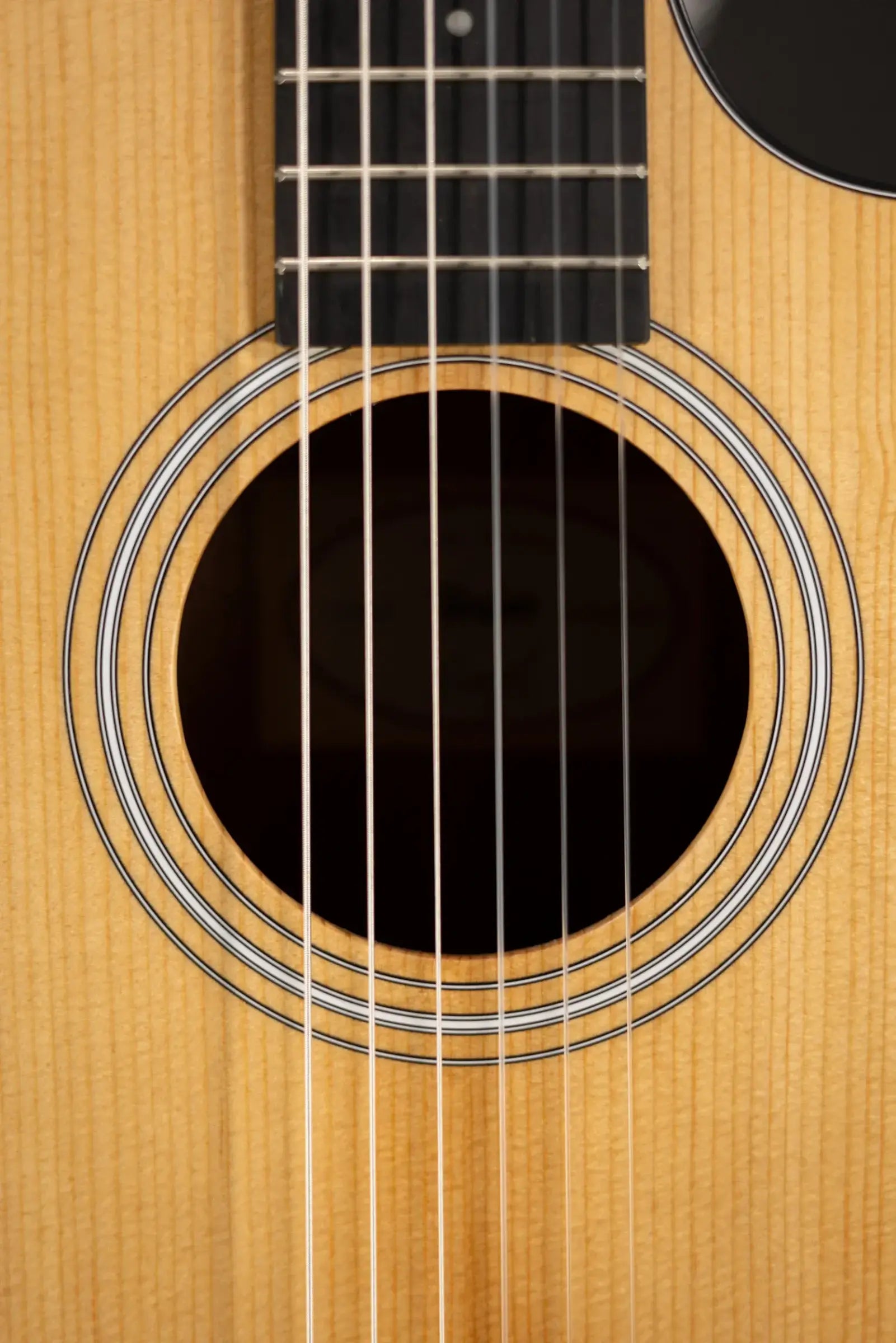 Taylor 112ce-N Nylon Grand Concert Acoustic/Electric Guitar with Gig Bag