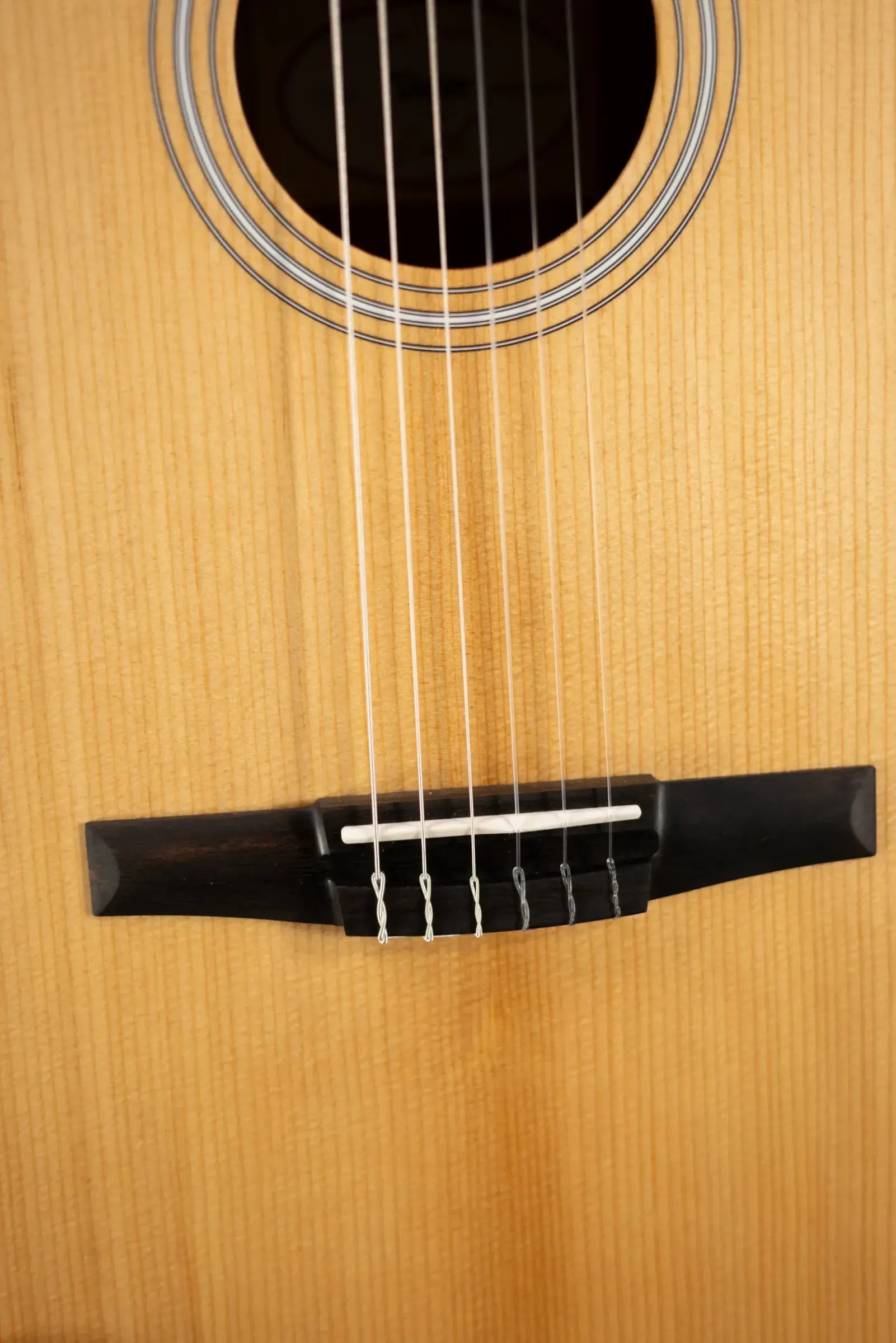 Taylor 112ce-N Nylon Grand Concert Acoustic/Electric Guitar with Gig Bag