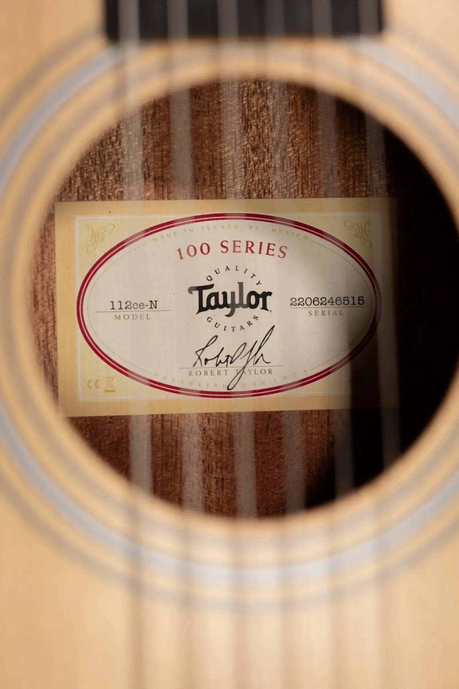 Taylor 112ce-N Nylon Grand Concert Acoustic/Electric Guitar with Gig Bag