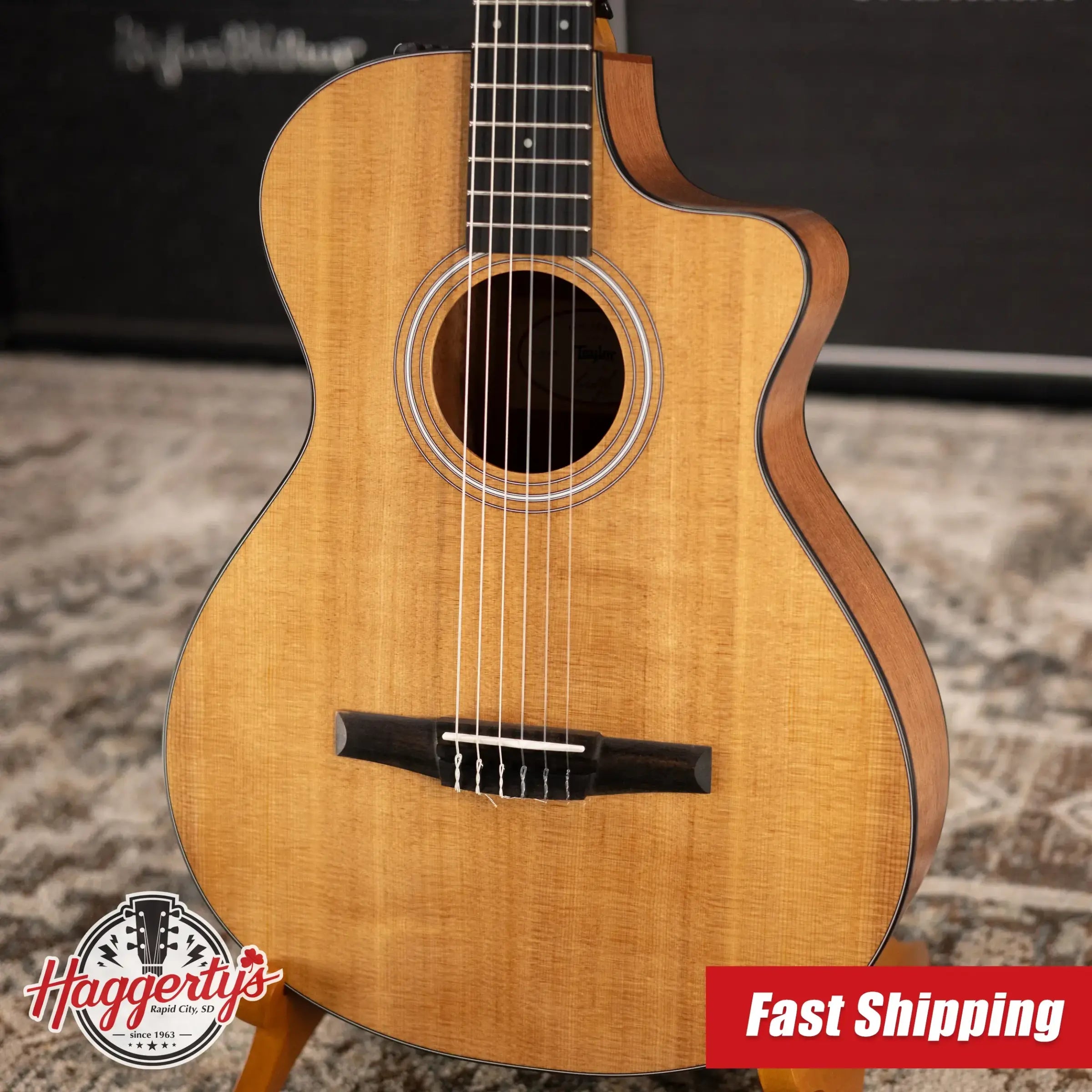Taylor 112ce-N Nylon Grand Concert Acoustic/Electric Guitar with Gig Bag
