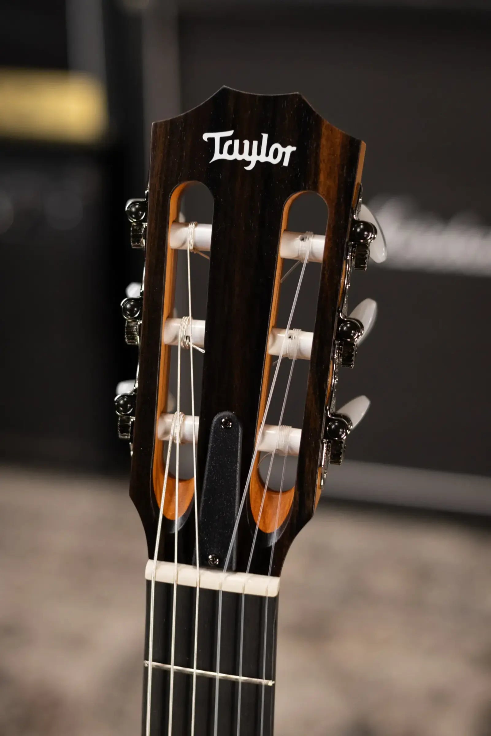 Taylor 112ce-N Nylon Grand Concert Acoustic/Electric Guitar with Gig Bag