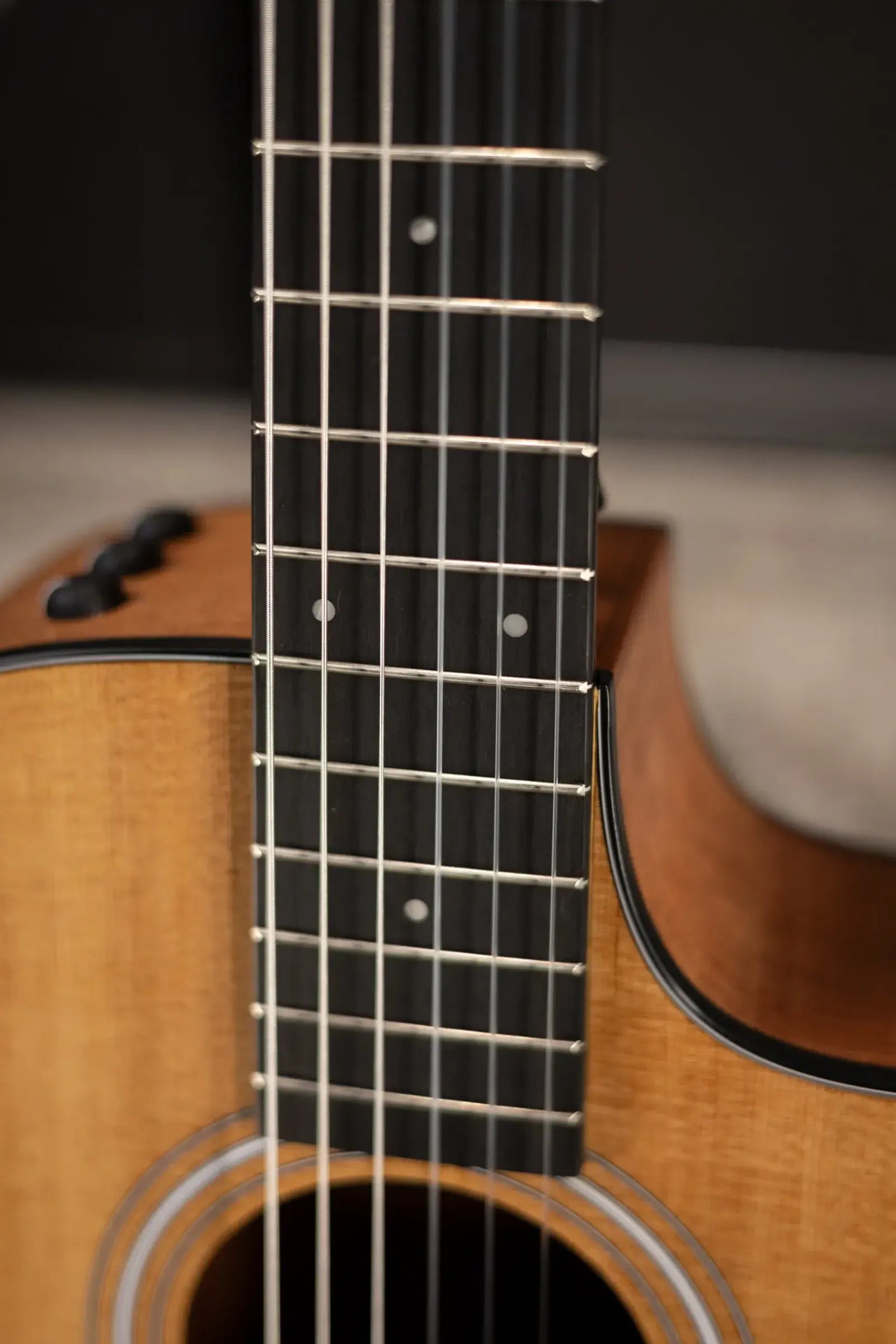 Taylor 112ce-N Nylon Grand Concert Acoustic/Electric Guitar with Gig Bag