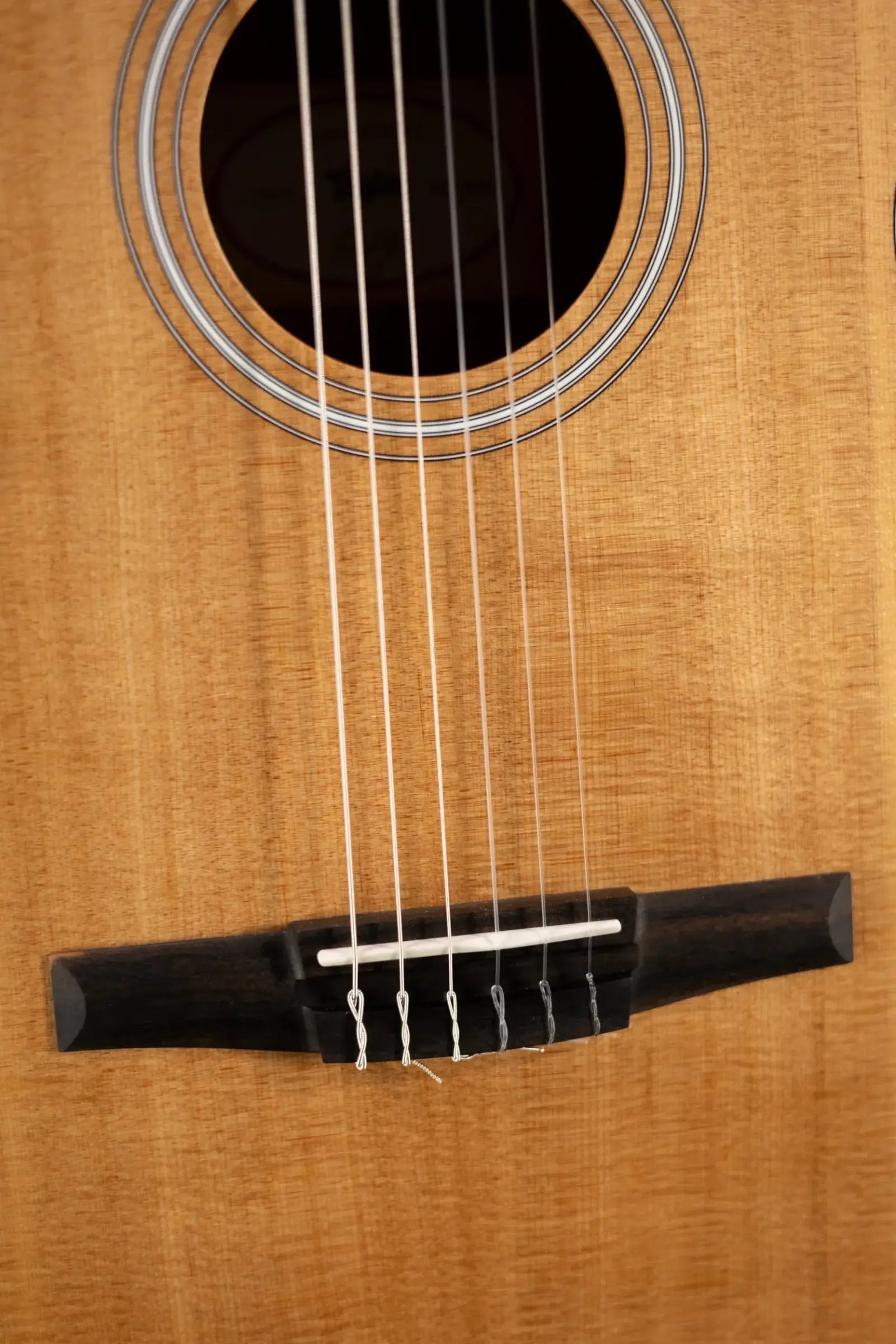 Taylor 112ce-N Nylon Grand Concert Acoustic/Electric Guitar with Gig Bag
