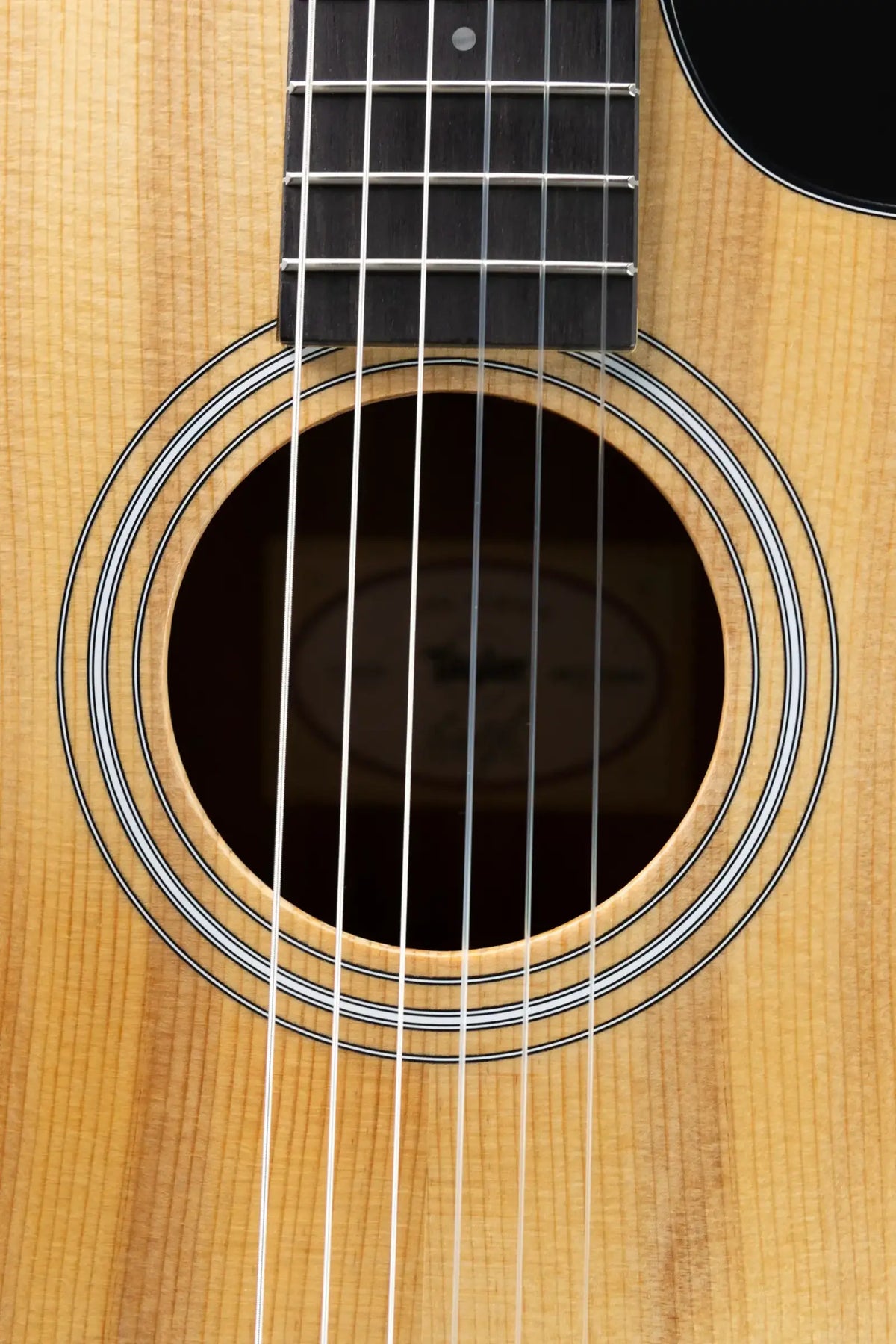 Taylor 112ce-N Nylon Grand Concert Acoustic/Electric Guitar with Gig Bag