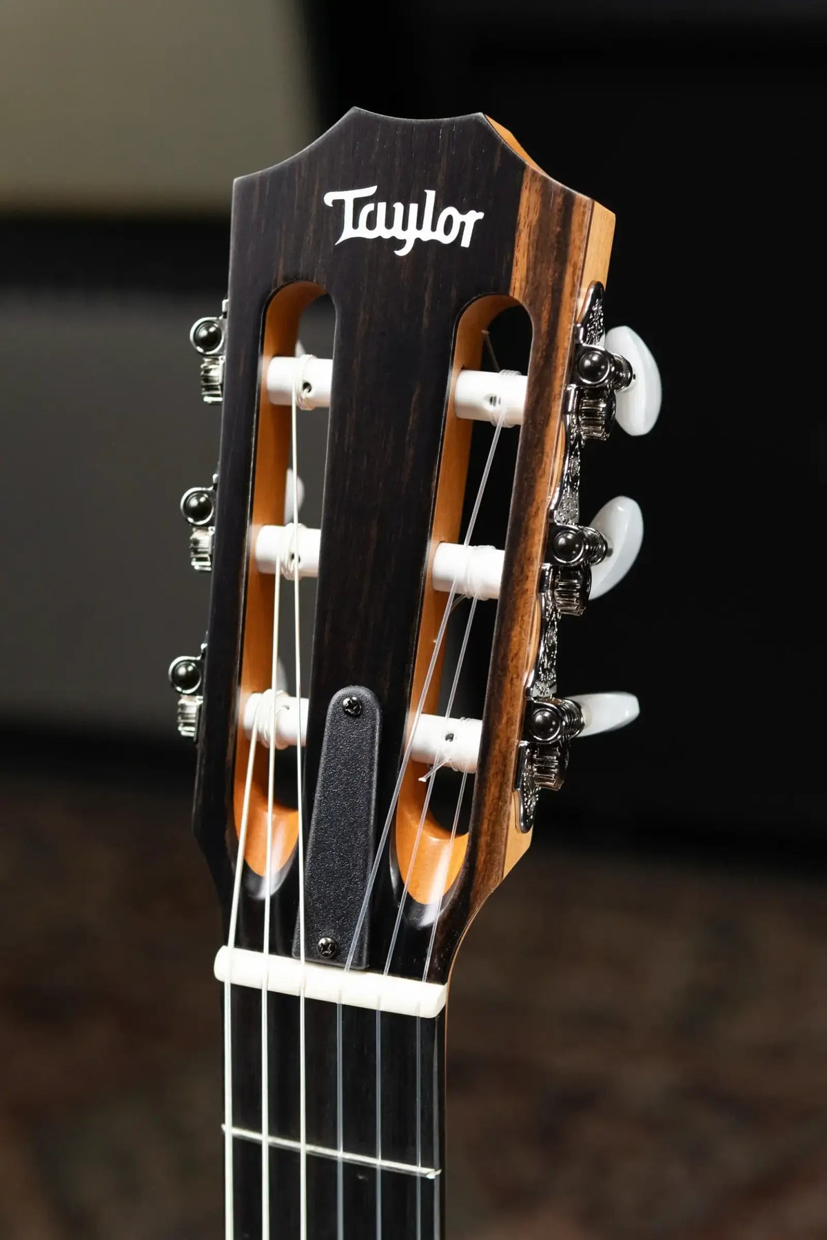 Taylor 112ce-N Nylon Grand Concert Acoustic/Electric Guitar with Gig Bag