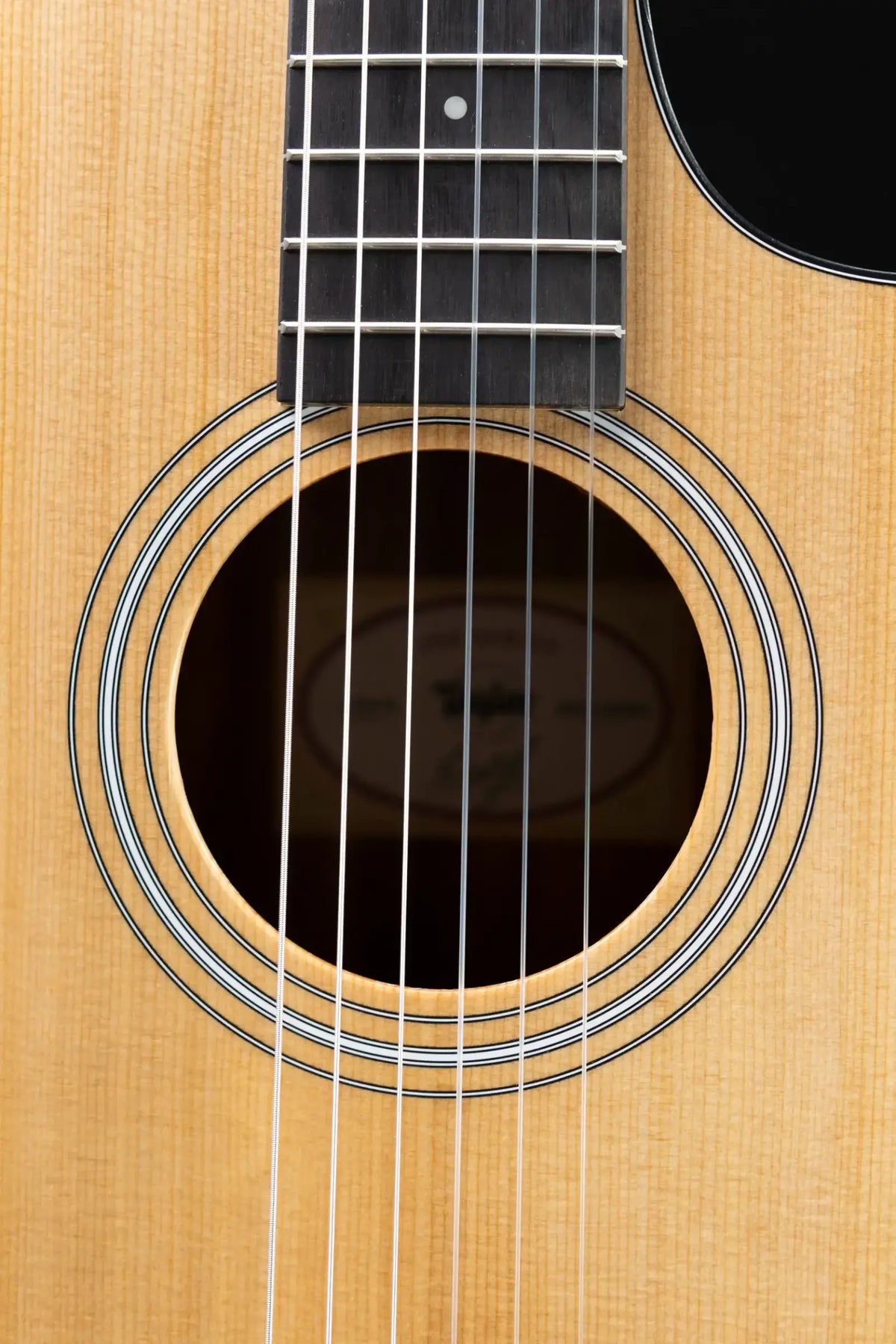 Taylor 112ce-N Nylon Grand Concert Acoustic/Electric Guitar with Gig Bag