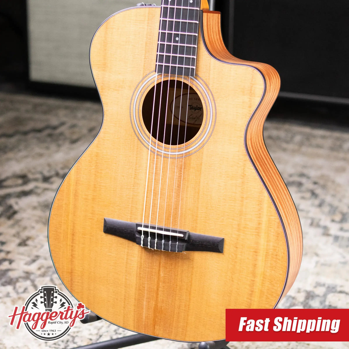 Taylor 112ce-N Nylon Grand Concert Acoustic/Electric Guitar with Gig Bag