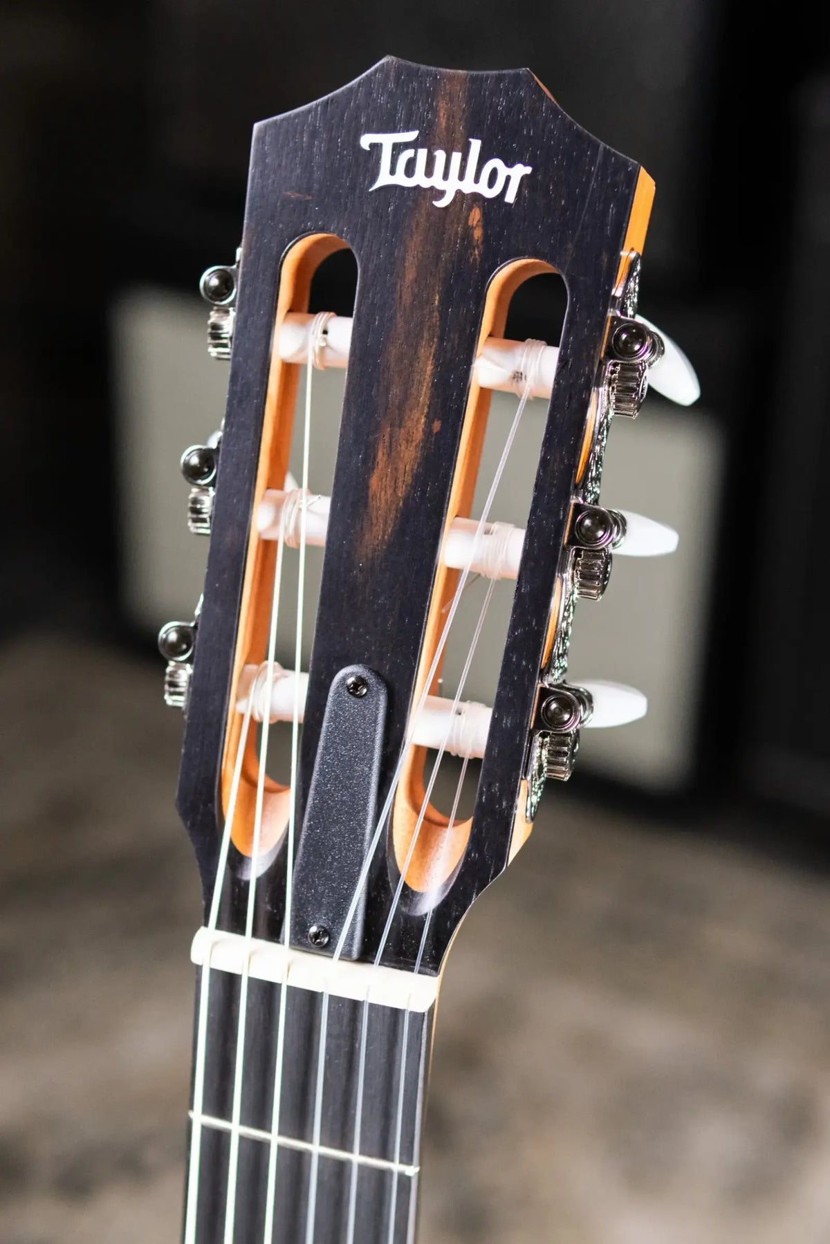 Taylor 112ce-N Nylon Grand Concert Acoustic/Electric Guitar with Gig Bag