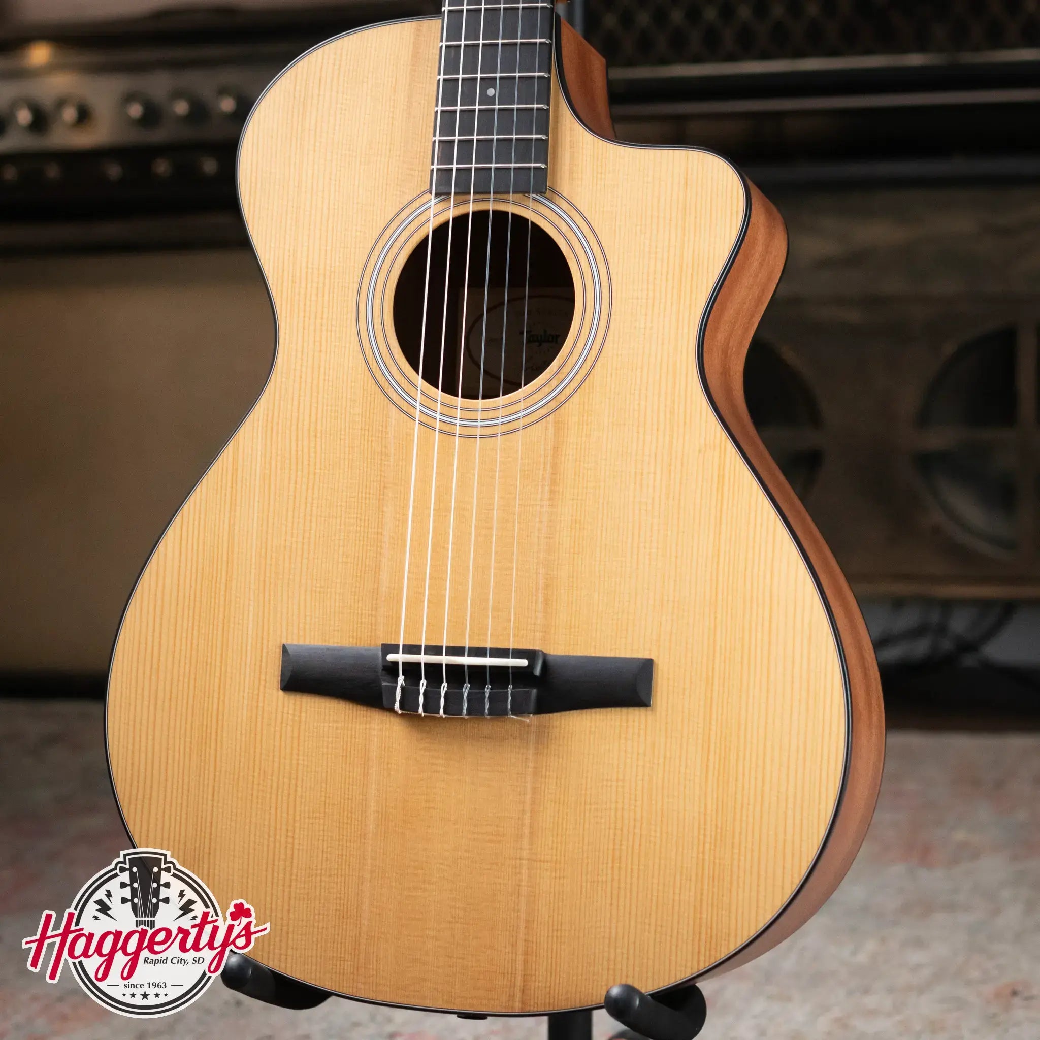 Taylor 112ce-N Nylon Grand Concert Acoustic/Electric with Gig Bag - Factory Demo