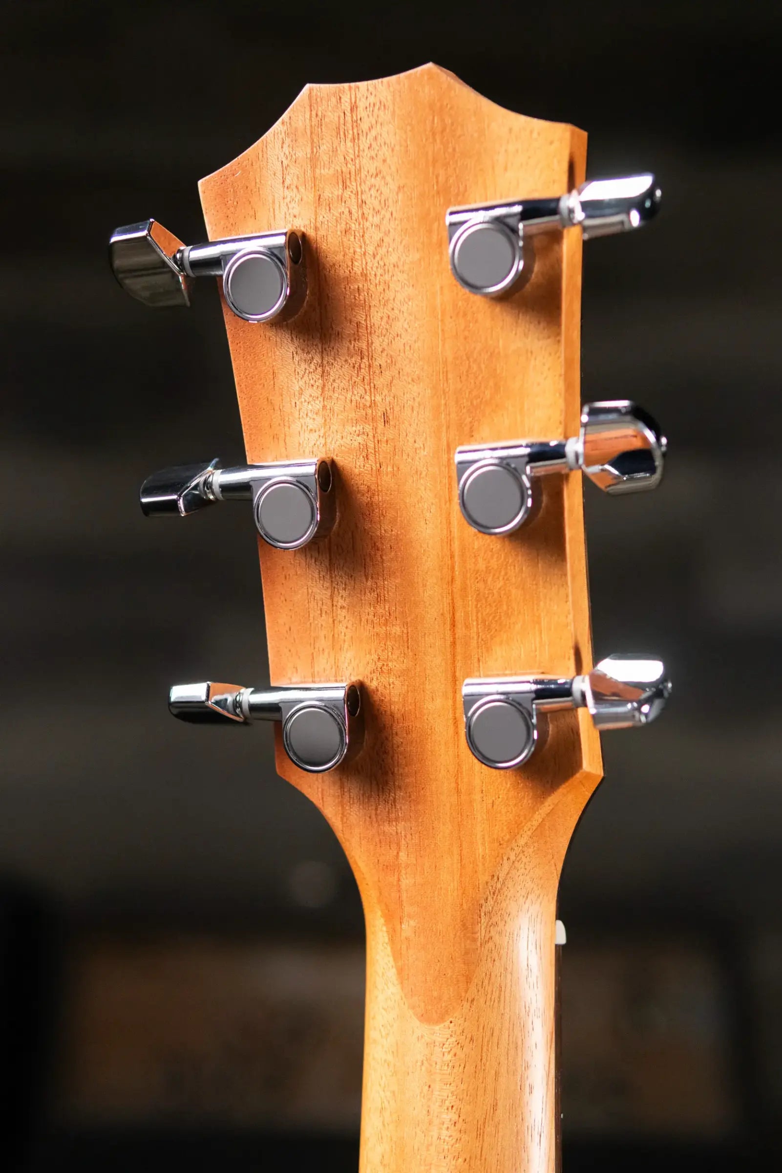 Taylor 112ce Special Edition Grand Concert Acoustic/Electric Guitar - Honeyburst with Gig Bag