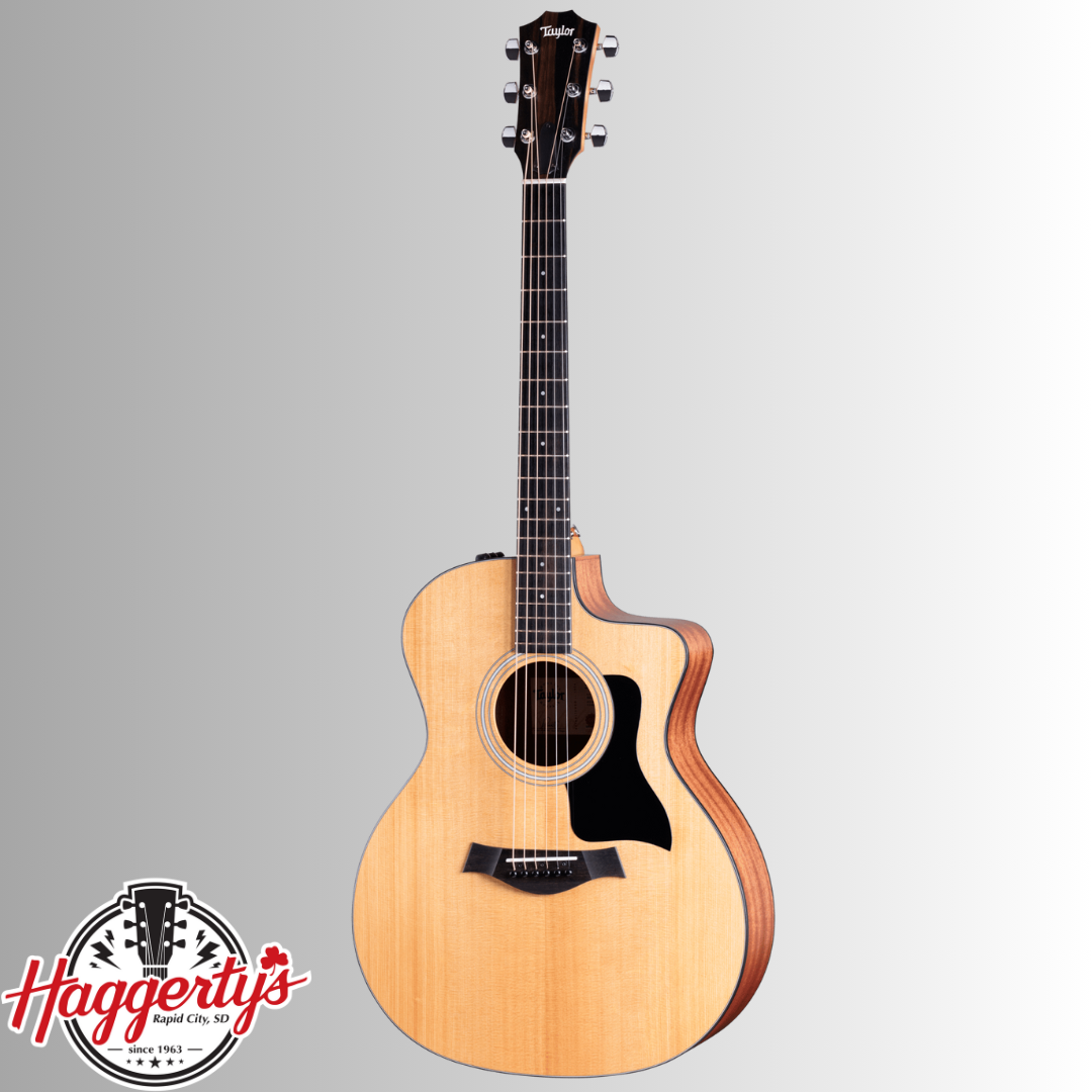 Taylor 114ce Acoustic-Electric Guitar with Structured Gig Bag