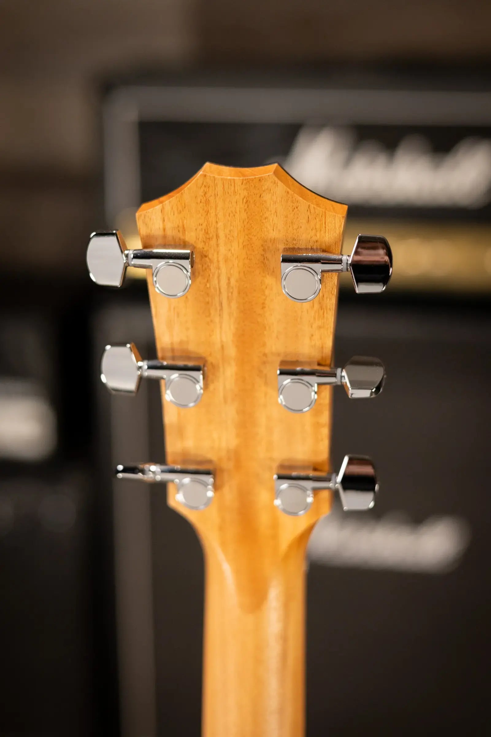 Taylor 114ce Grand Auditorium Acoustic/Electric Guitar - Sapele with Gig Bag - Factory Demo