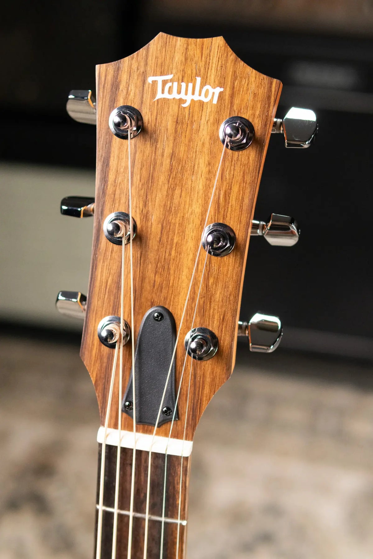 Taylor 114ce Grand Auditorium Acoustic/Electric Guitar - Sapele with Gig Bag - Demo