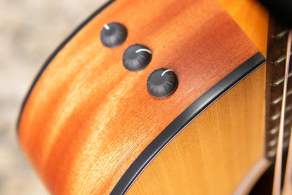 Taylor 114ce Grand Auditorium Acoustic/Electric Guitar - Sapele with Gig Bag - Demo