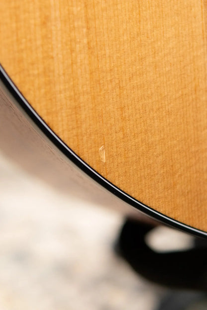 Taylor 114ce Grand Auditorium Acoustic/Electric Guitar - Sapele with Gig Bag - Demo