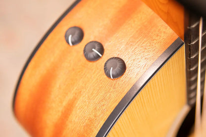 Taylor 114ce Grand Auditorium Acoustic/Electric Guitar with Gig Bag