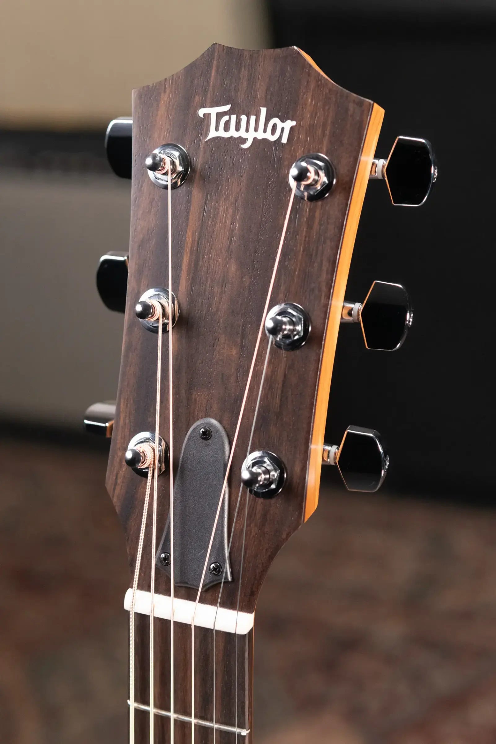 Taylor 114ce Grand Auditorium Acoustic/Electric Guitar with Gig Bag