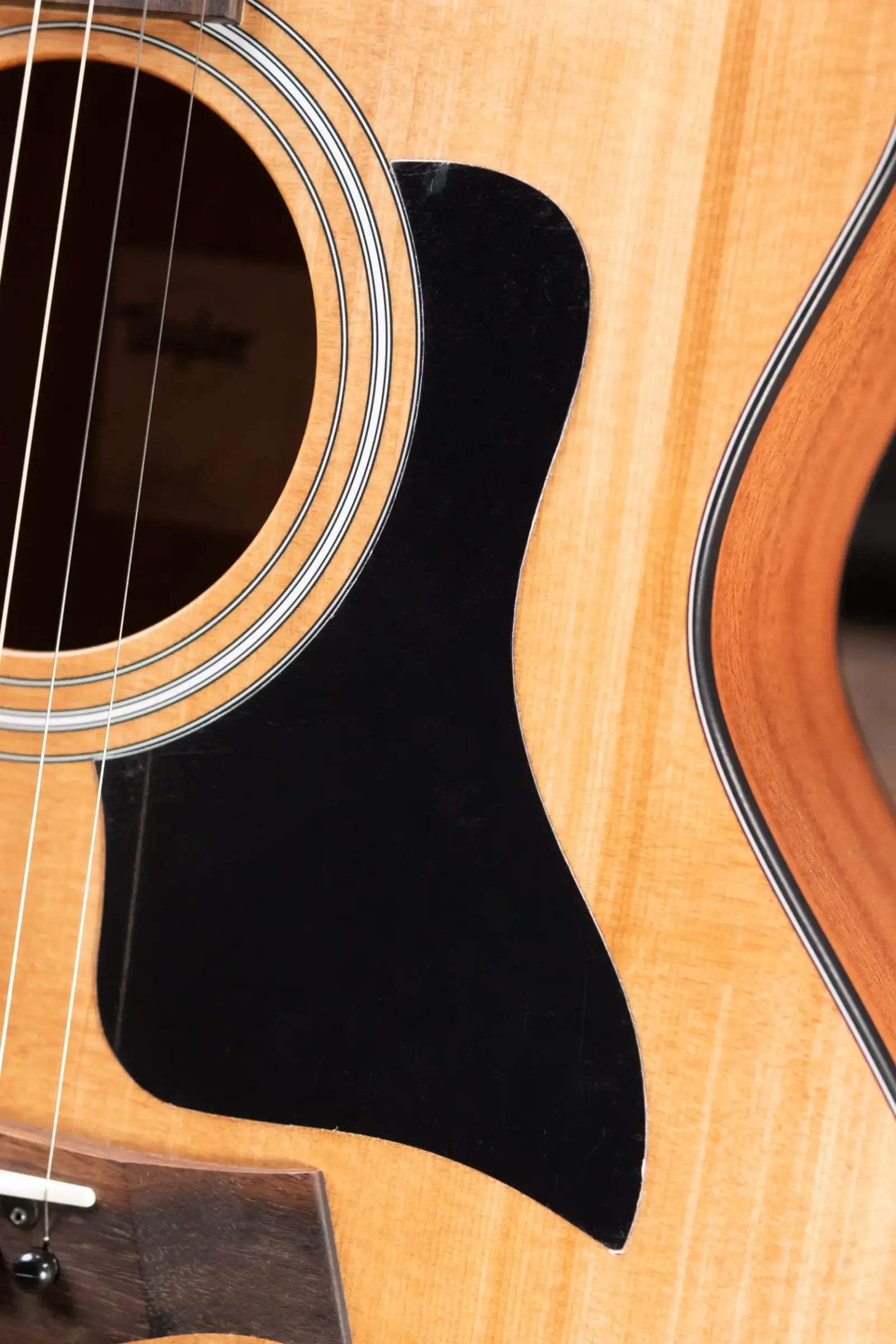 Taylor 114ce Grand Auditorium Acoustic/Electric Guitar with Gig Bag