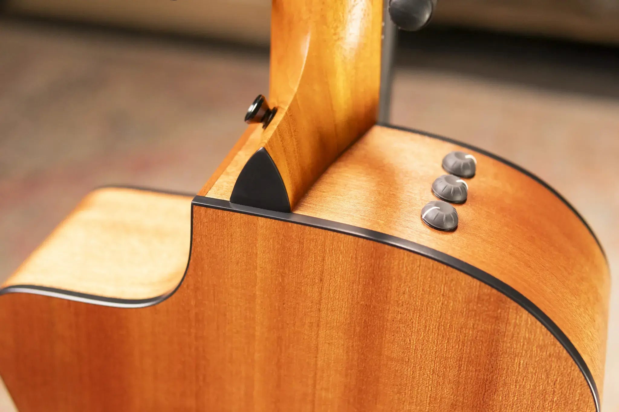 Taylor 114ce Grand Auditorium Acoustic/Electric Guitar with Gig Bag