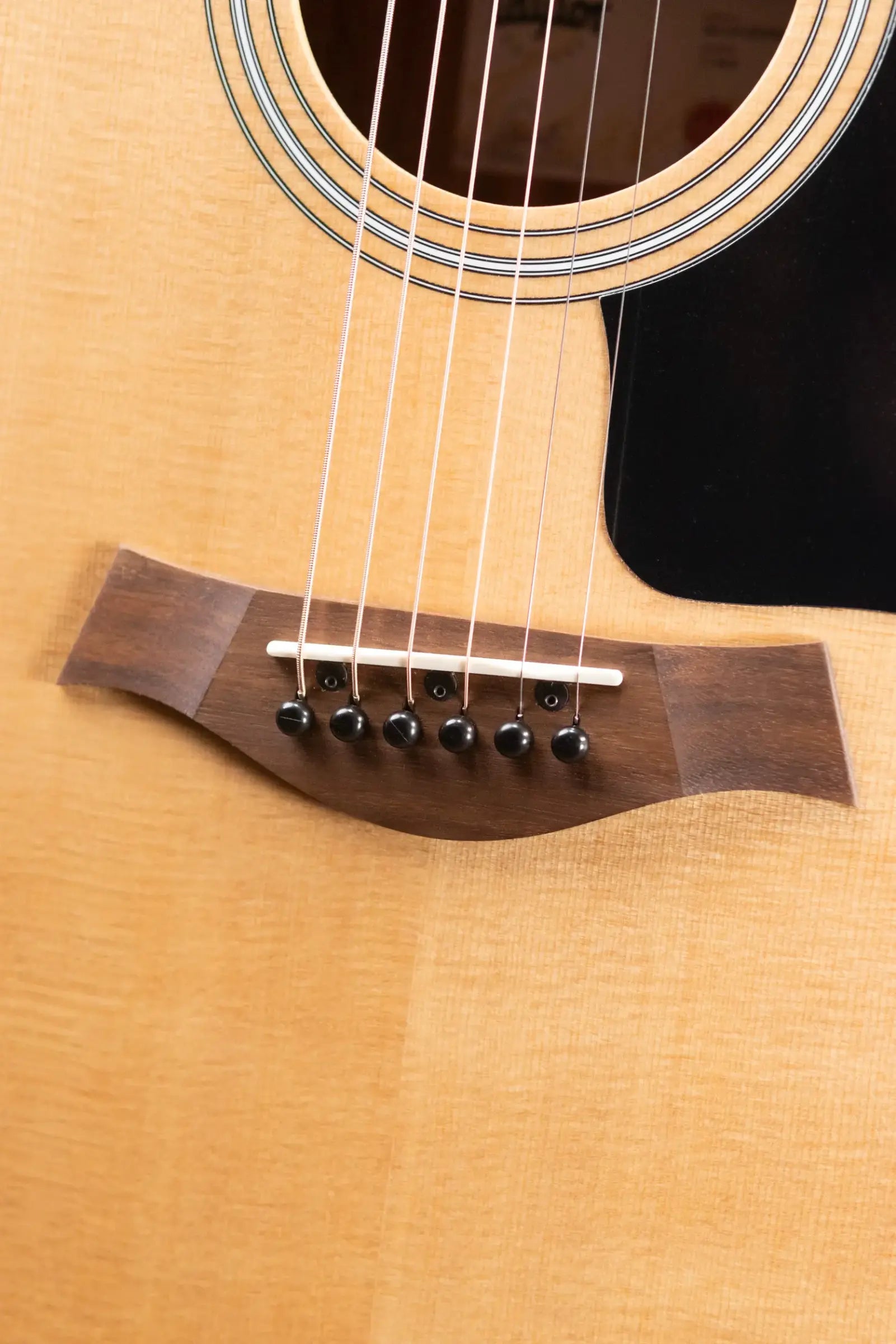 Taylor 114ce Grand Auditorium Acoustic/Electric Guitar with Gig Bag