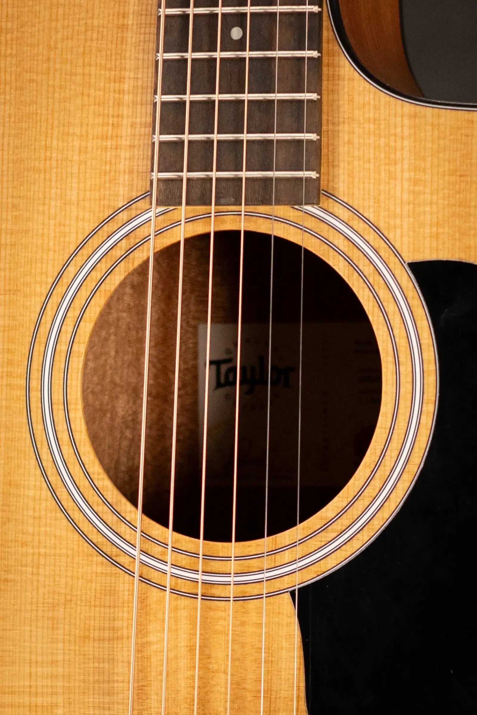 Taylor 114ce Grand Auditorium Acoustic-Electric Guitar with Gig Bag