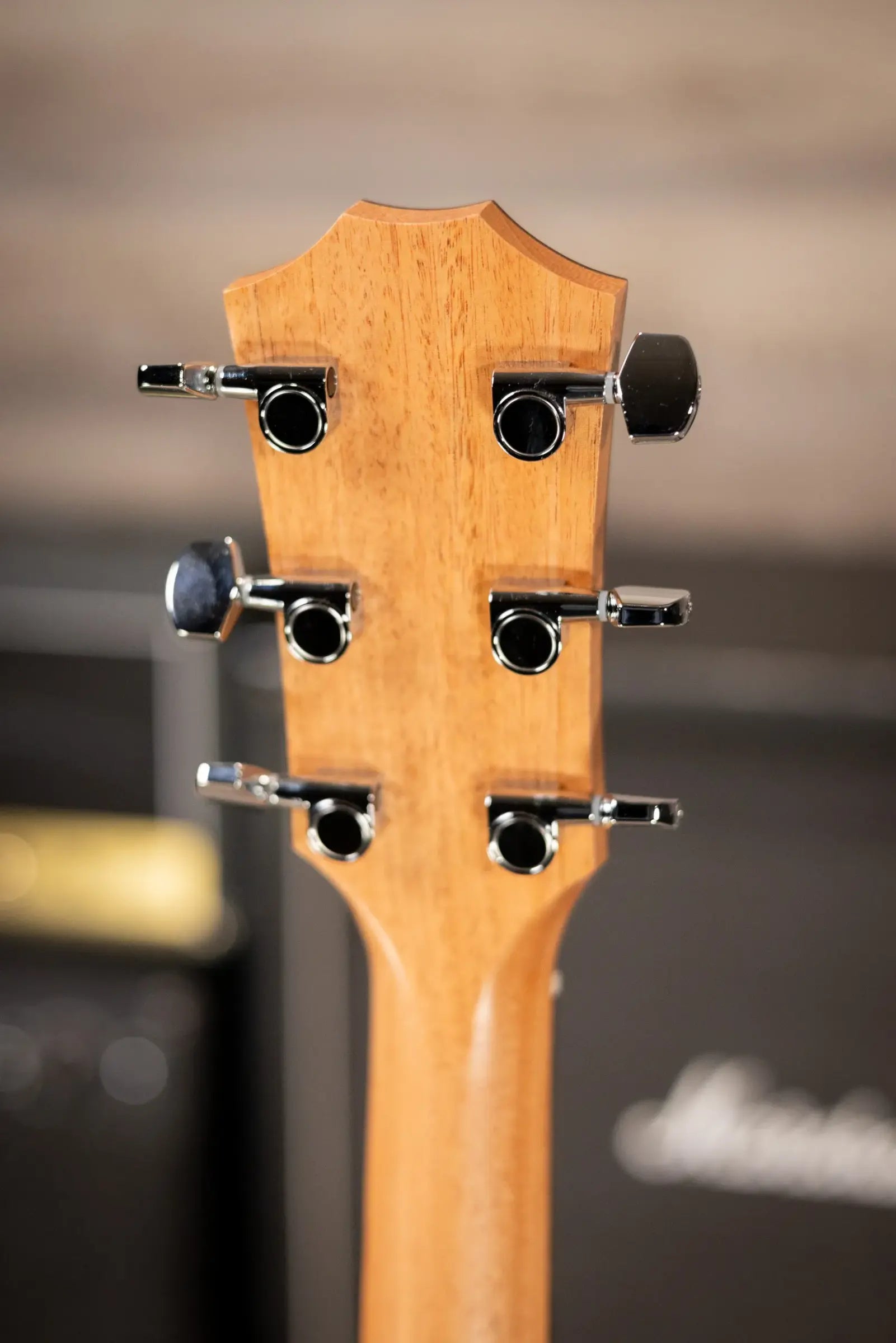 Taylor 114ce Grand Auditorium Acoustic-Electric Guitar with Structured Gig Bag